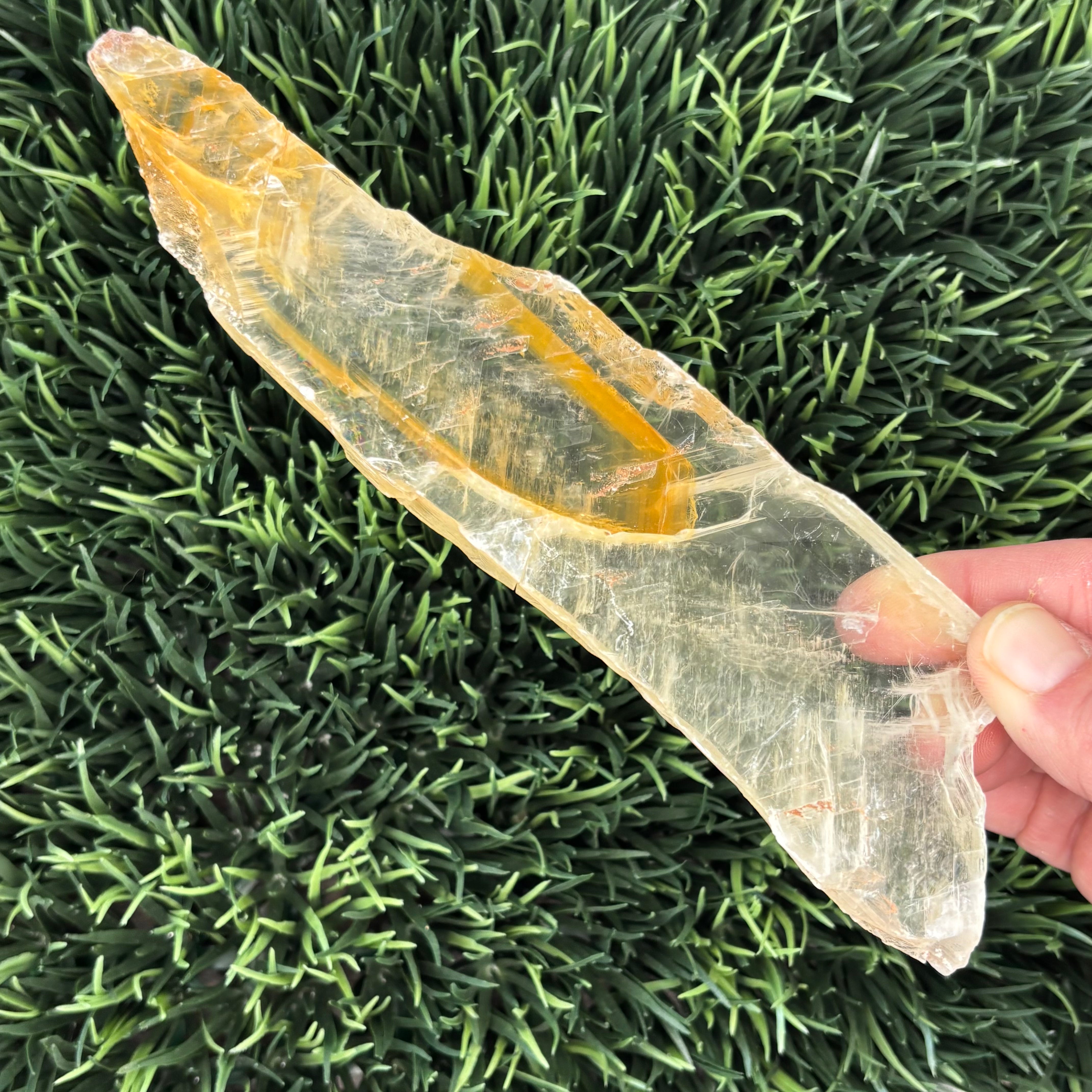 Golden Selenite Window - 584