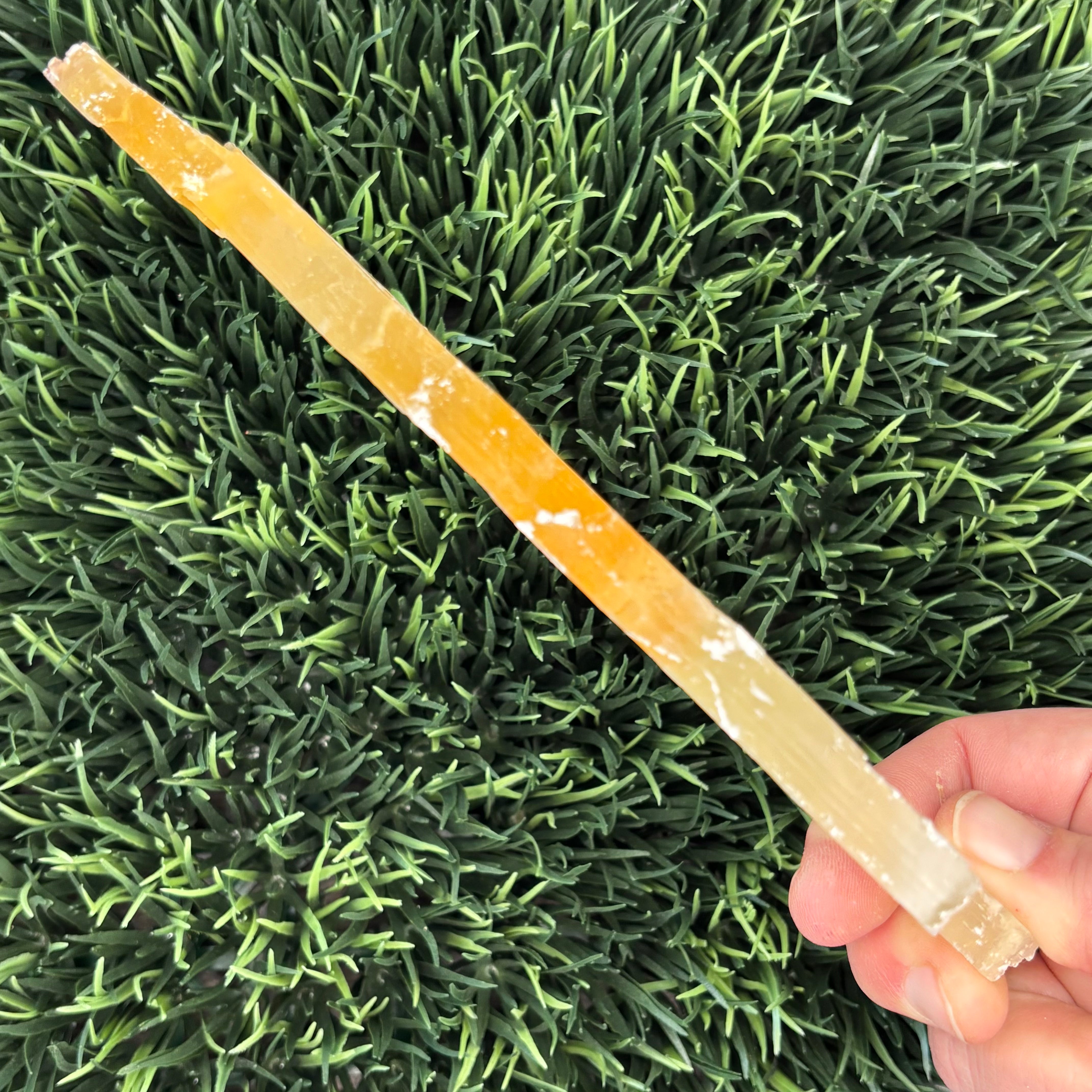 Golden Selenite Window - 584