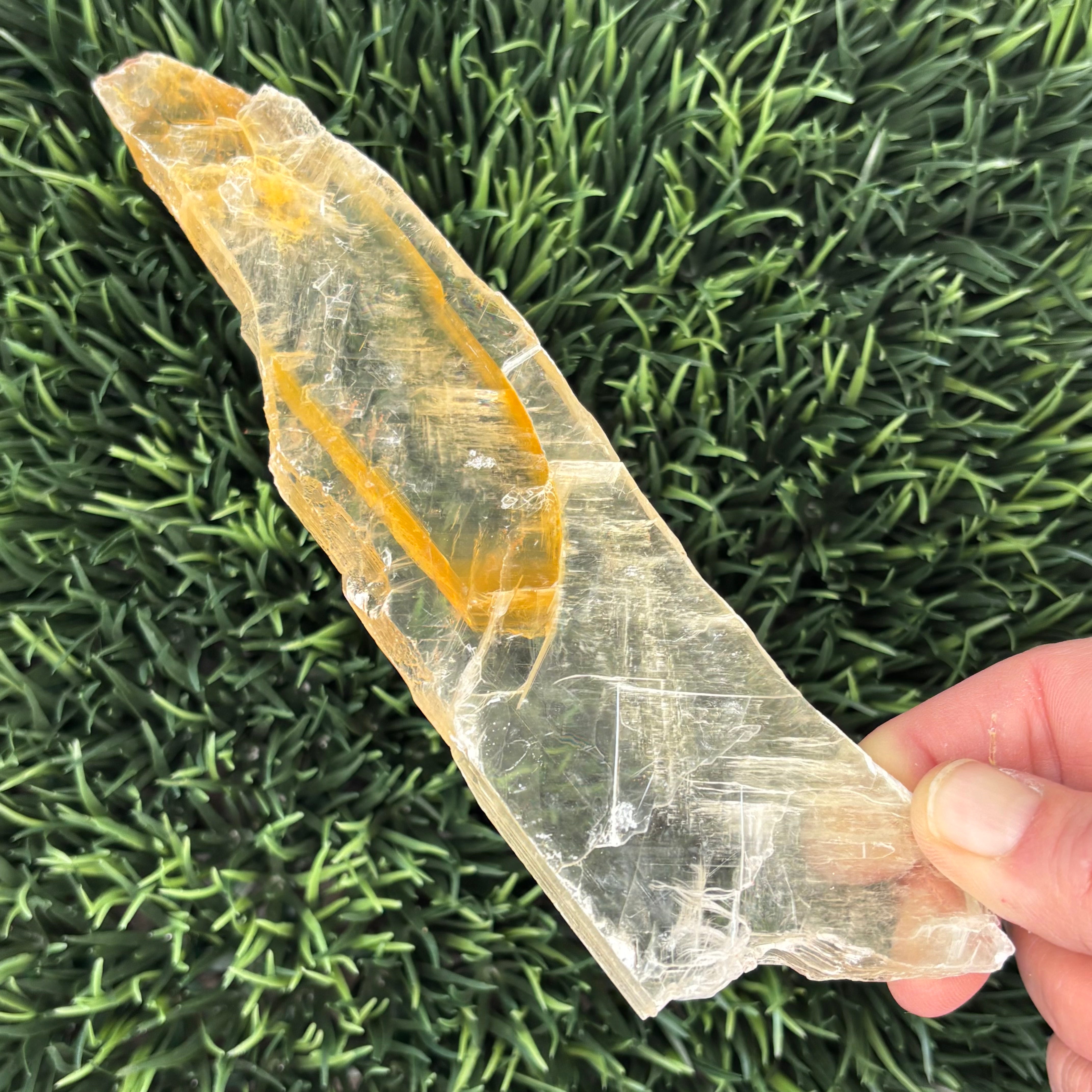 Golden Selenite Window - 584