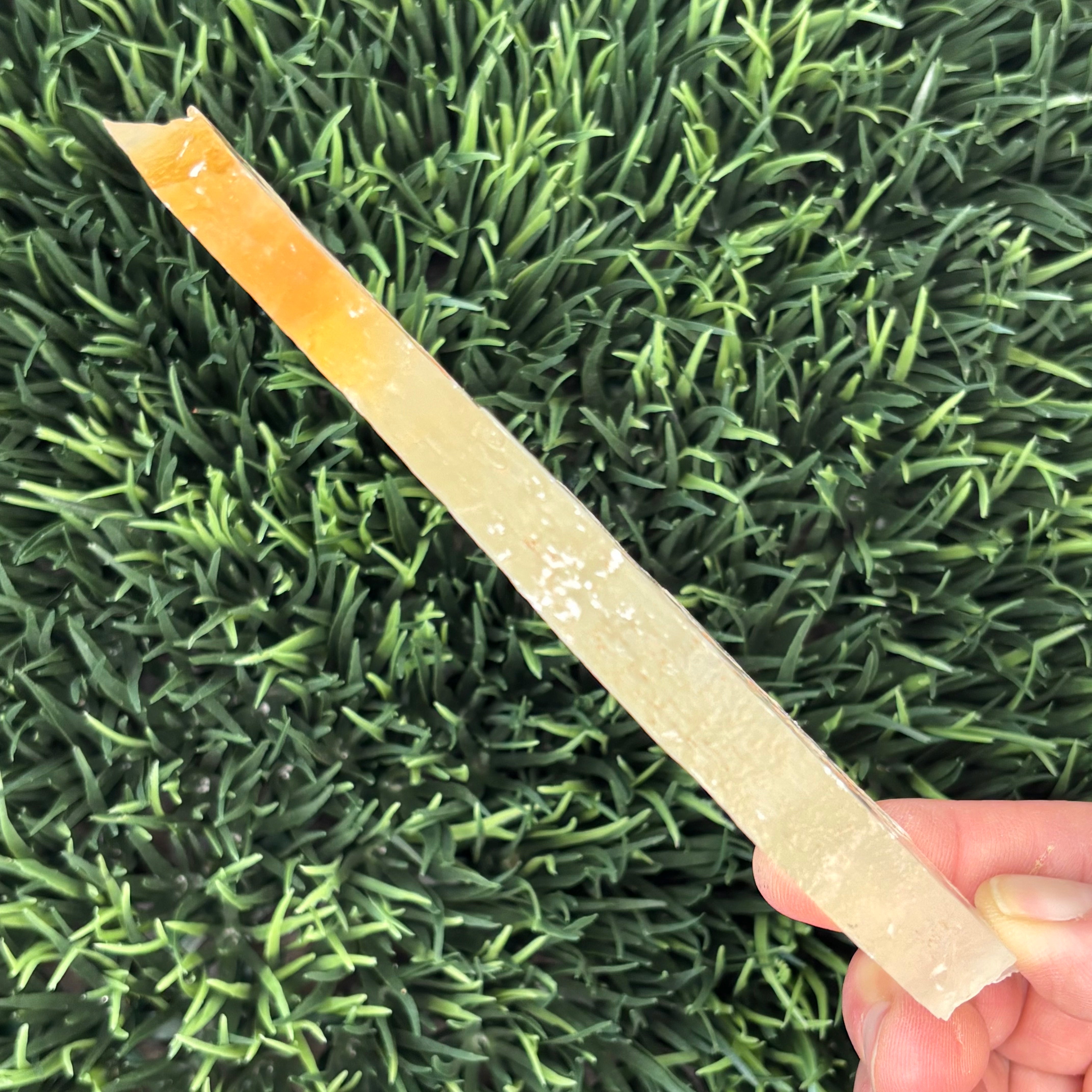 Golden Selenite Window - 585