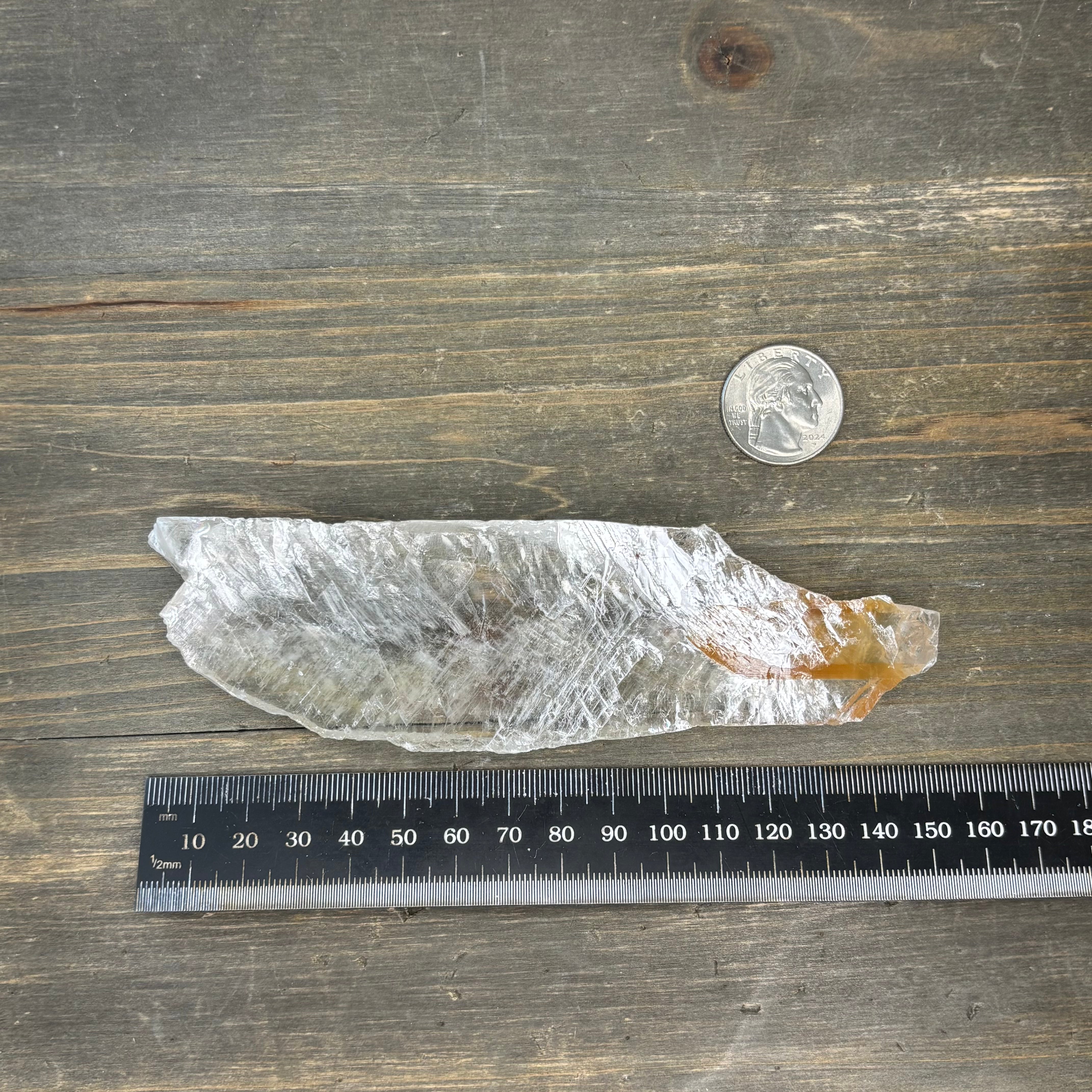 Golden Selenite Window - 585