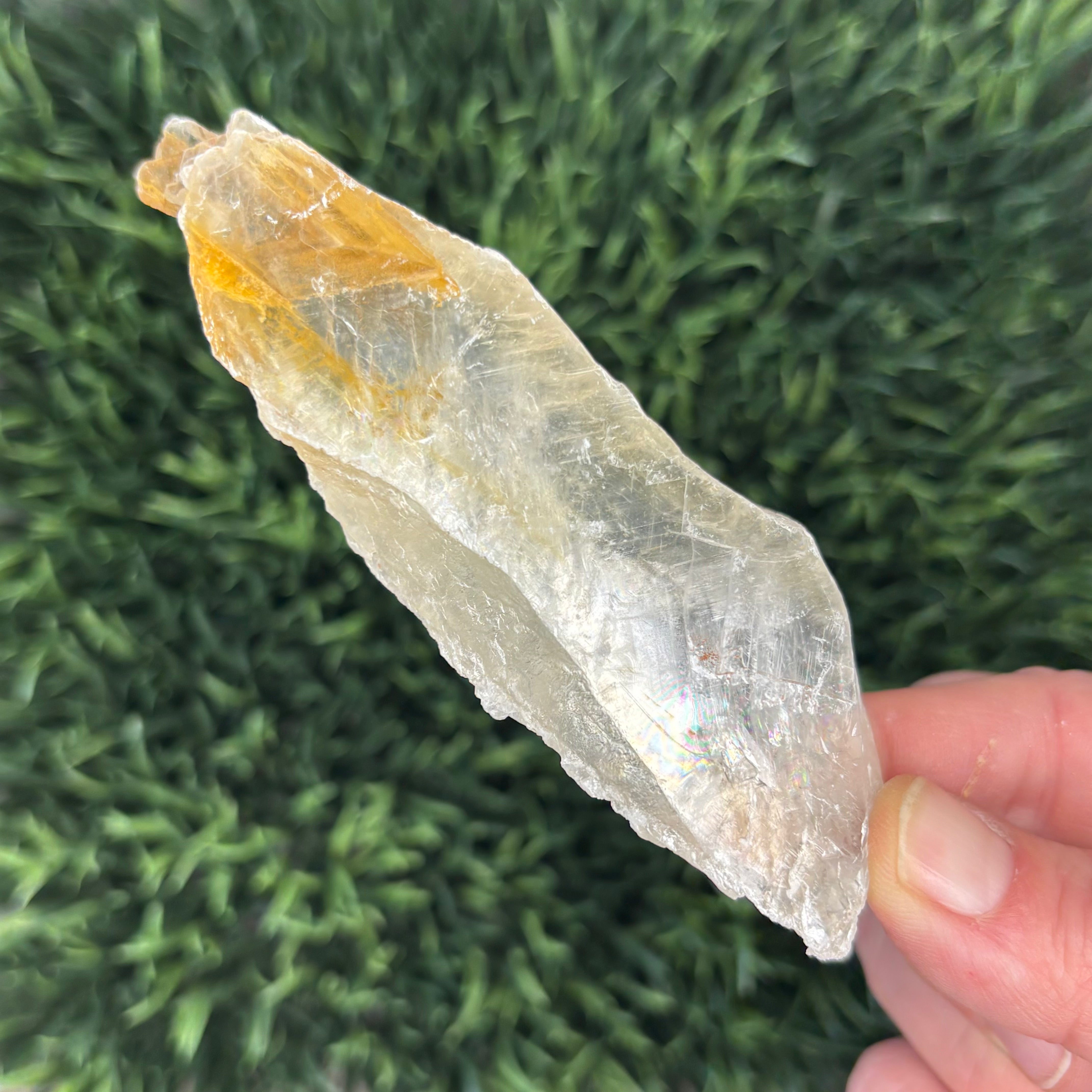 Golden Selenite Window - 587