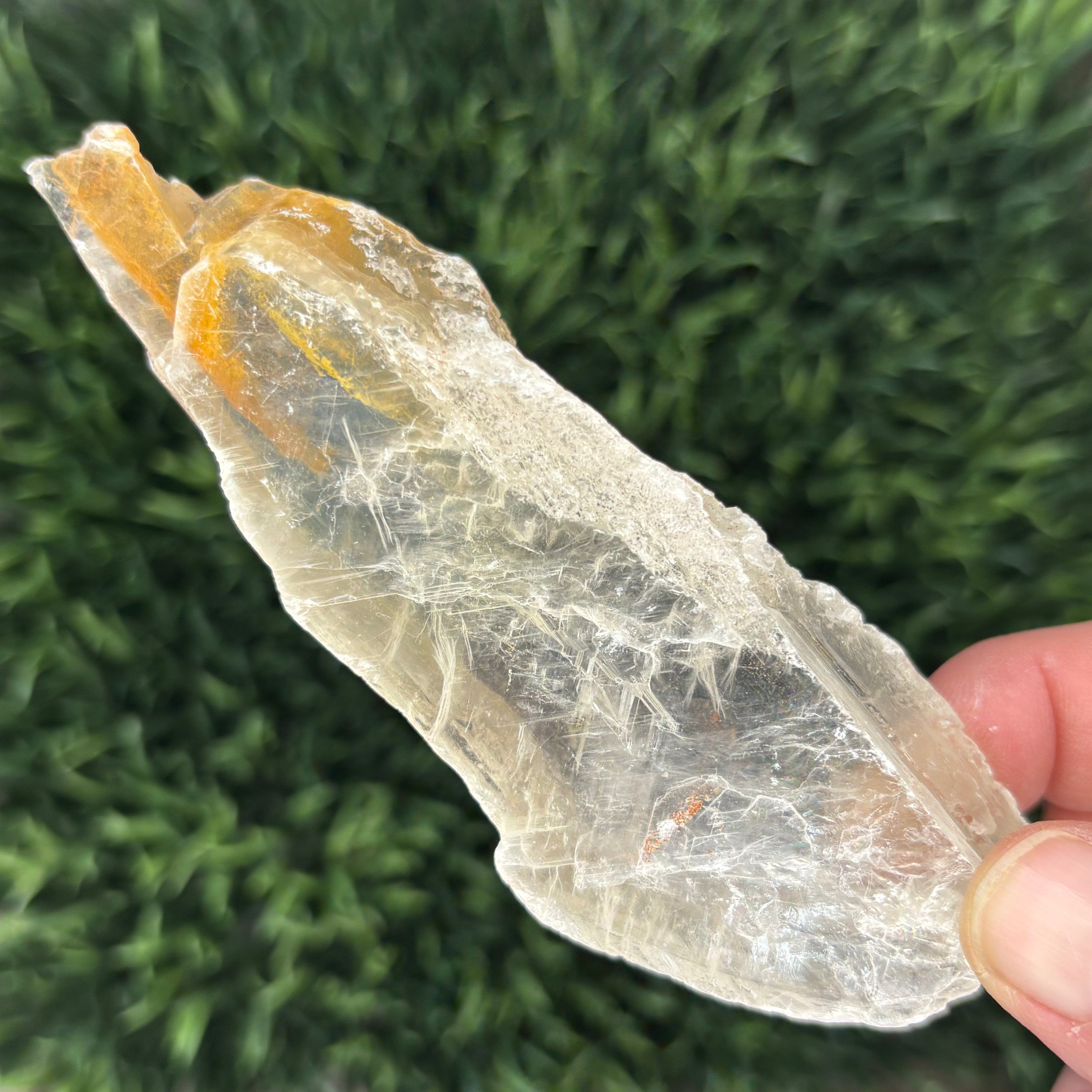 Golden Selenite Window - 587