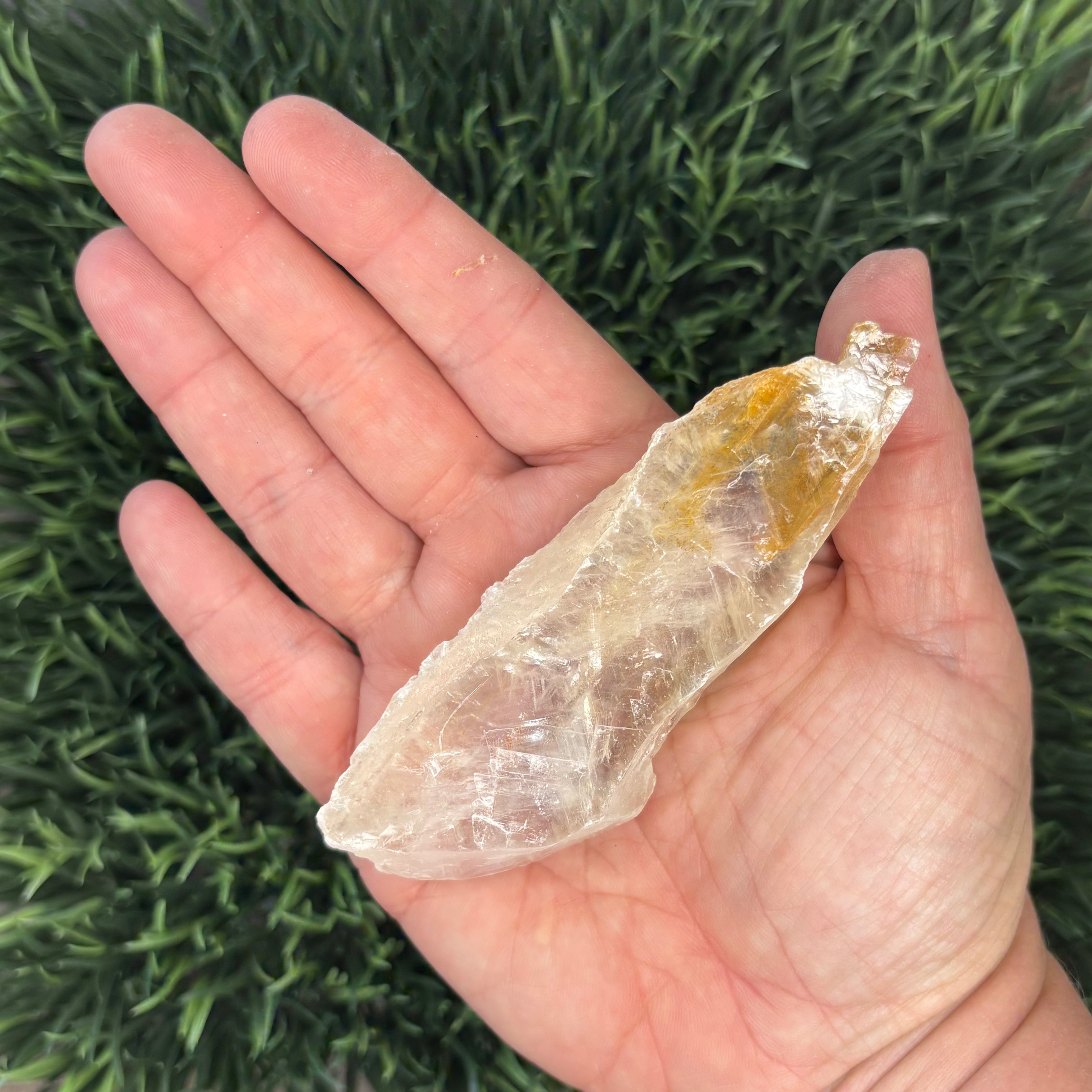 Golden Selenite Window - 587