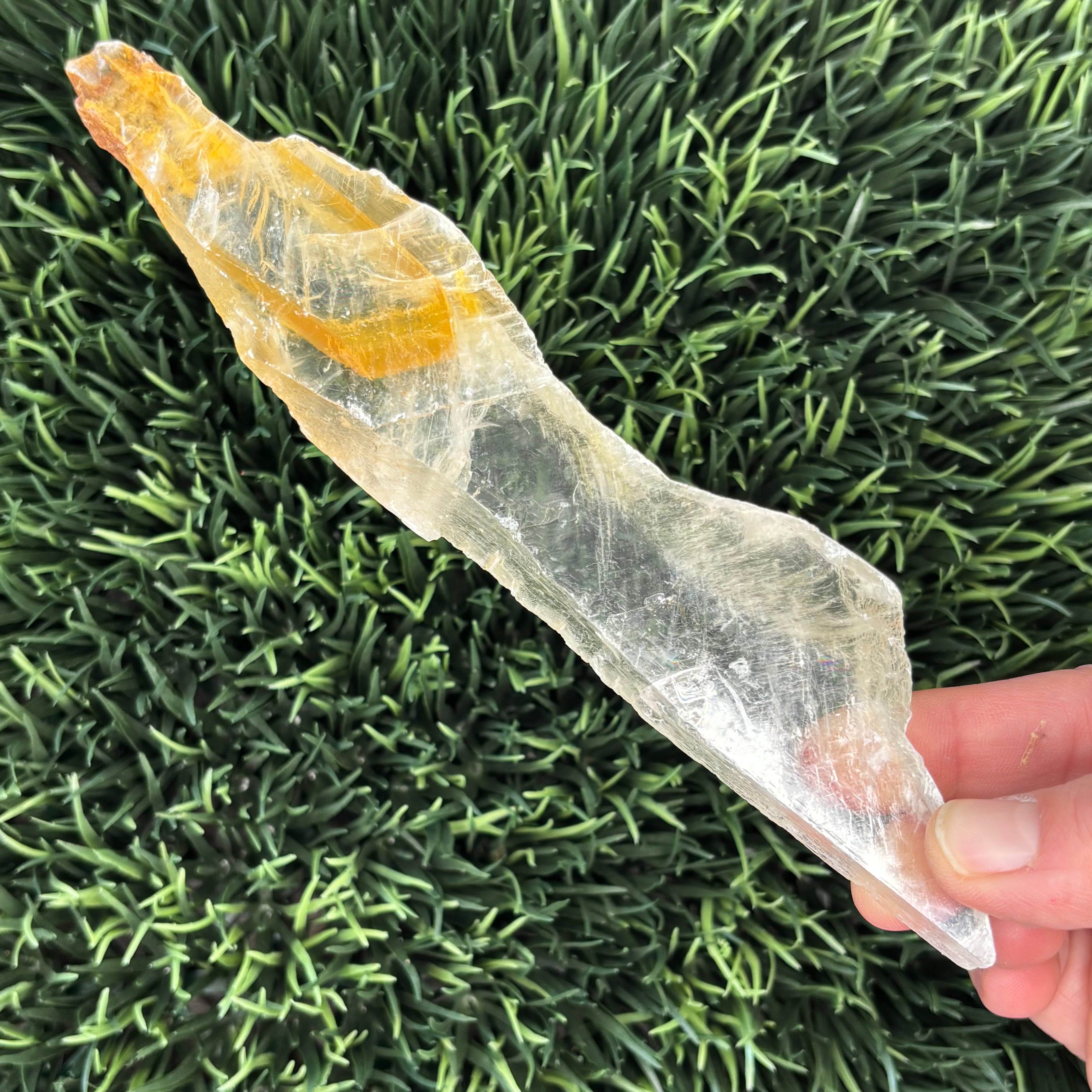 Golden Selenite Window - 590