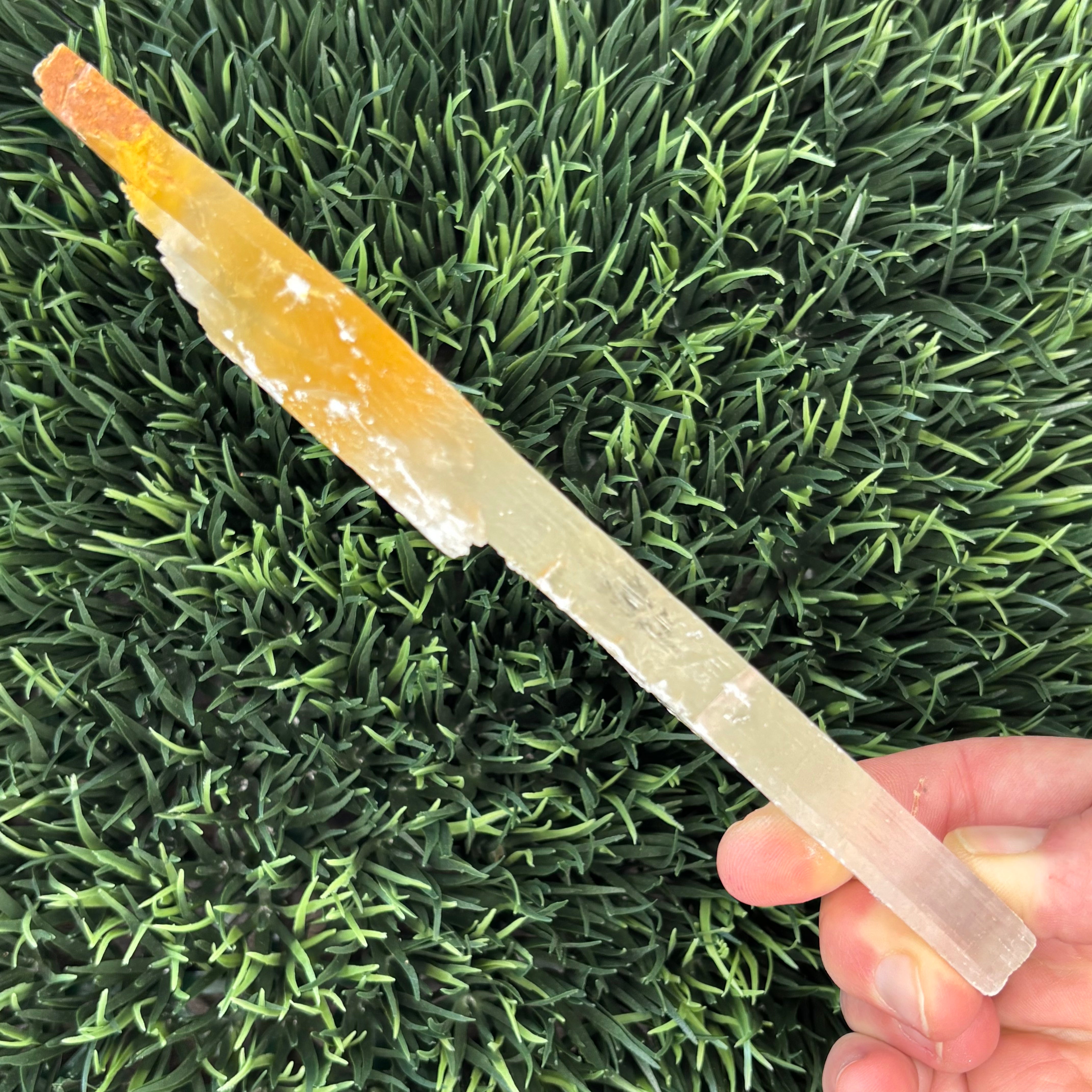 Golden Selenite Window - 590