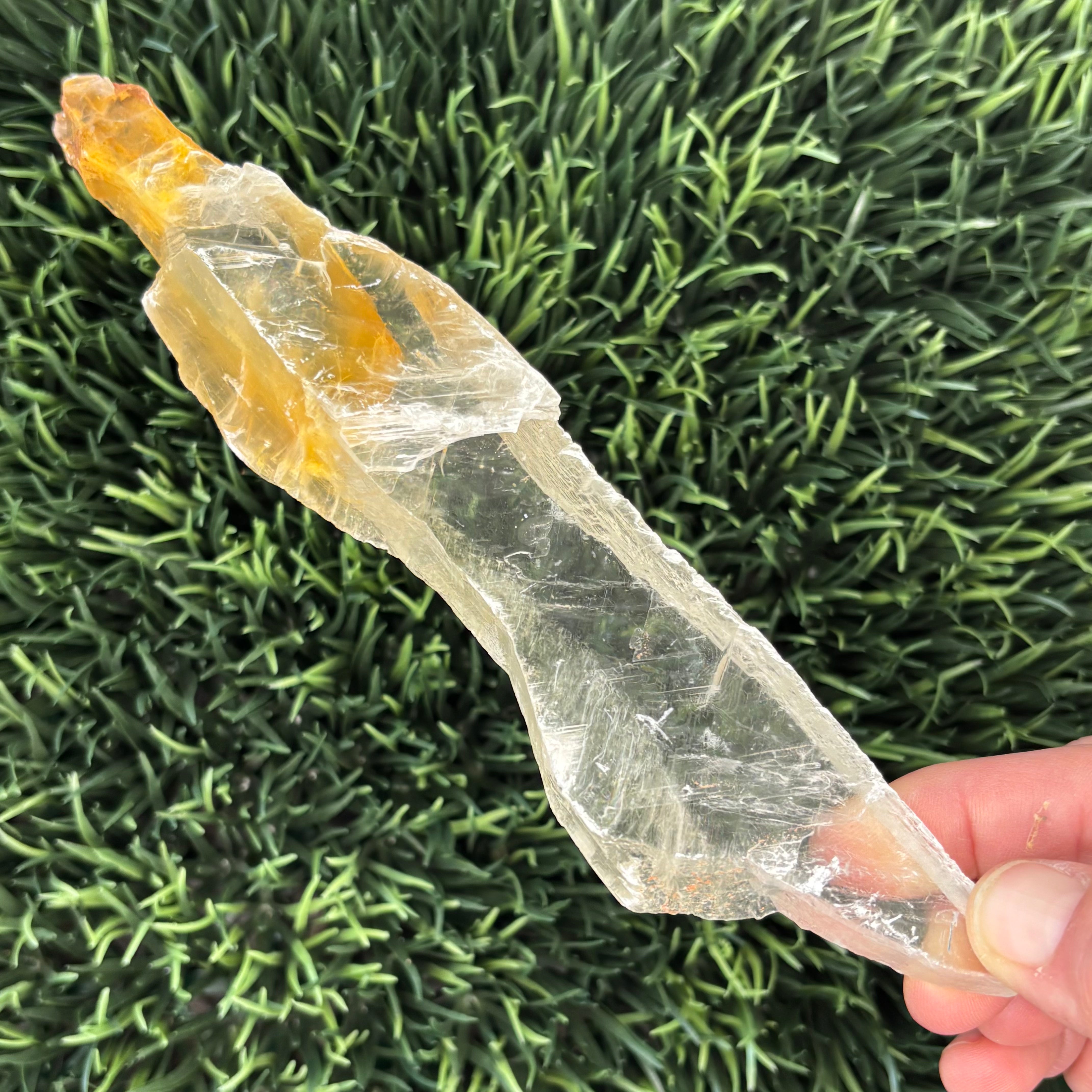 Golden Selenite Window - 590