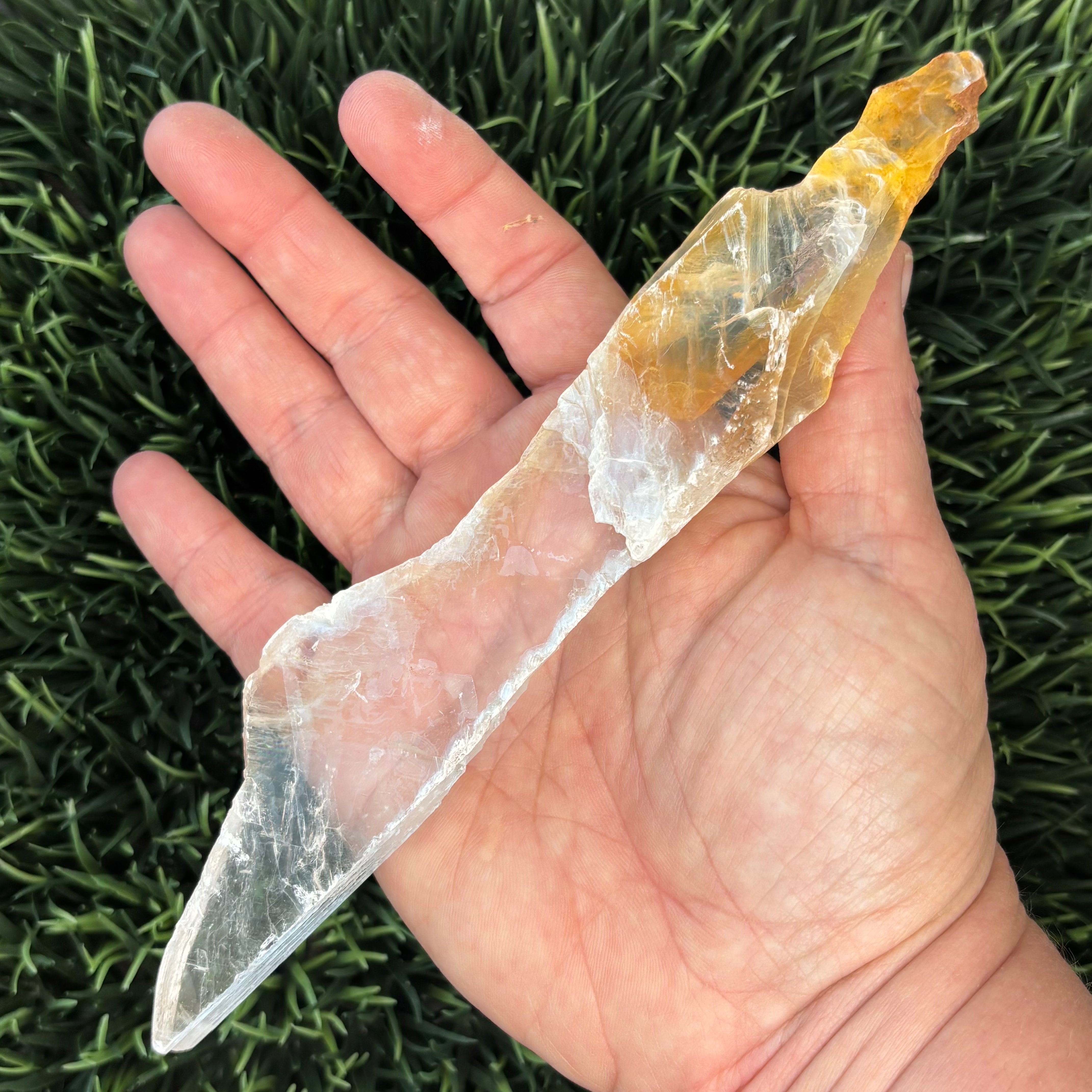Golden Selenite Window - 590