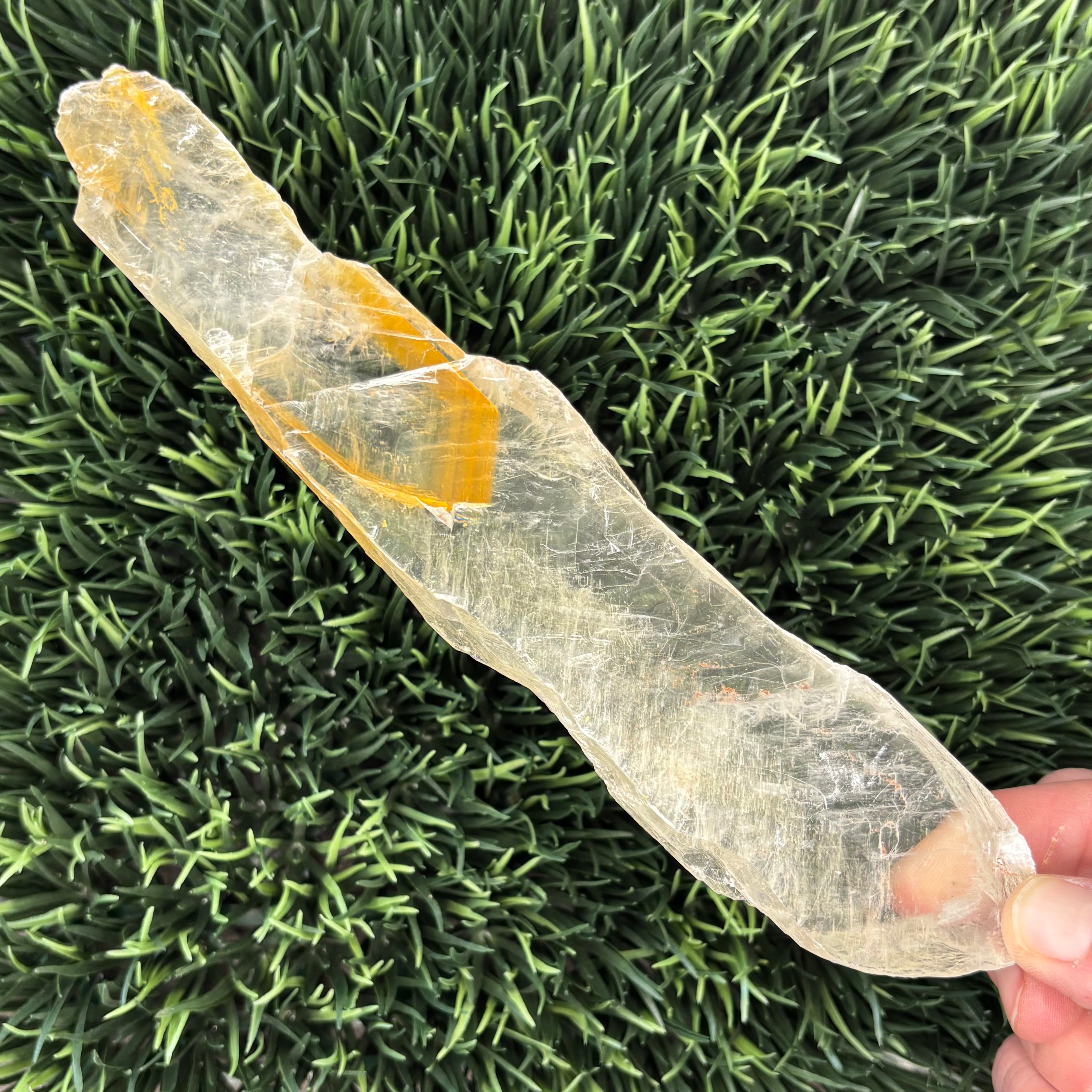 Golden Selenite Window - 592