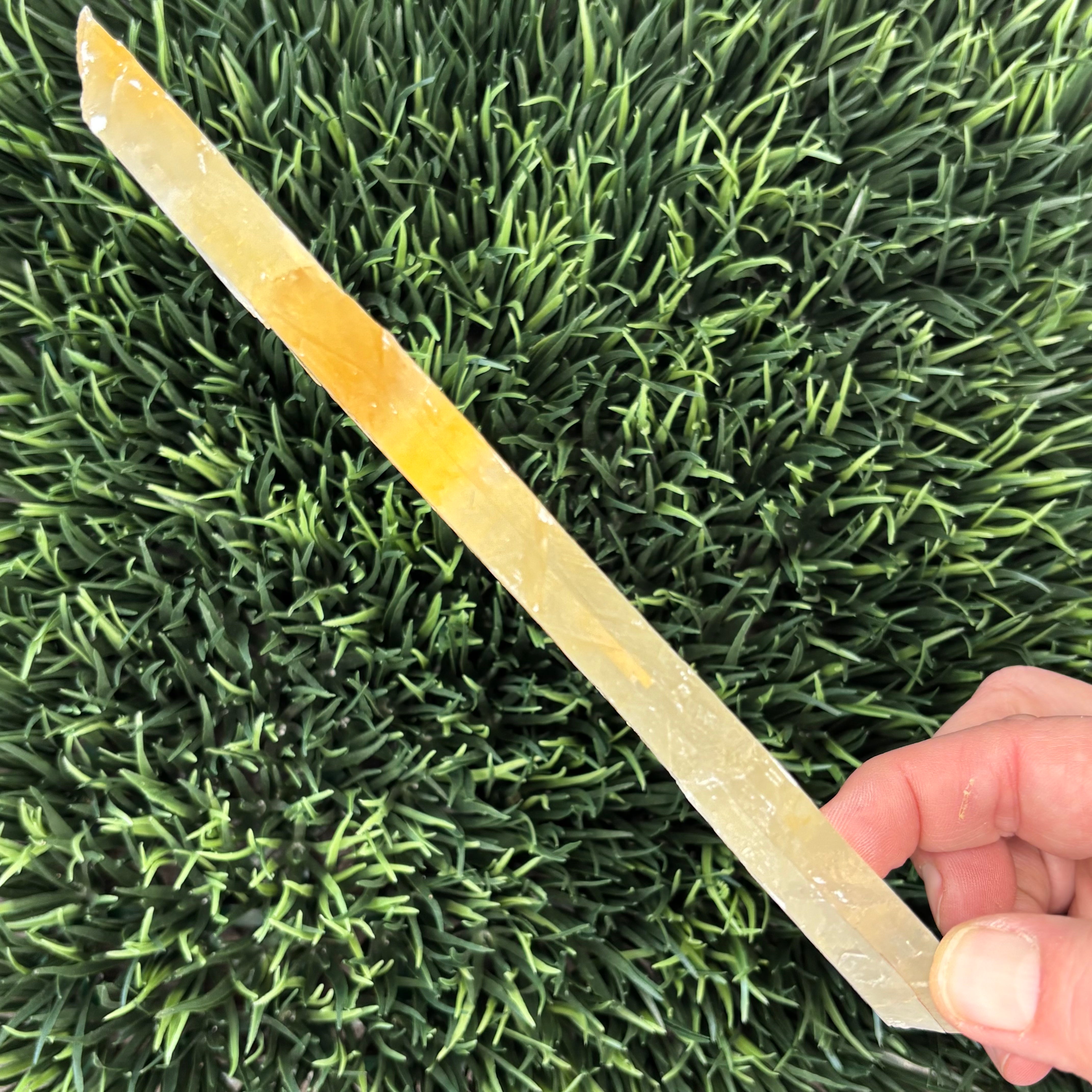 Golden Selenite Window - 592