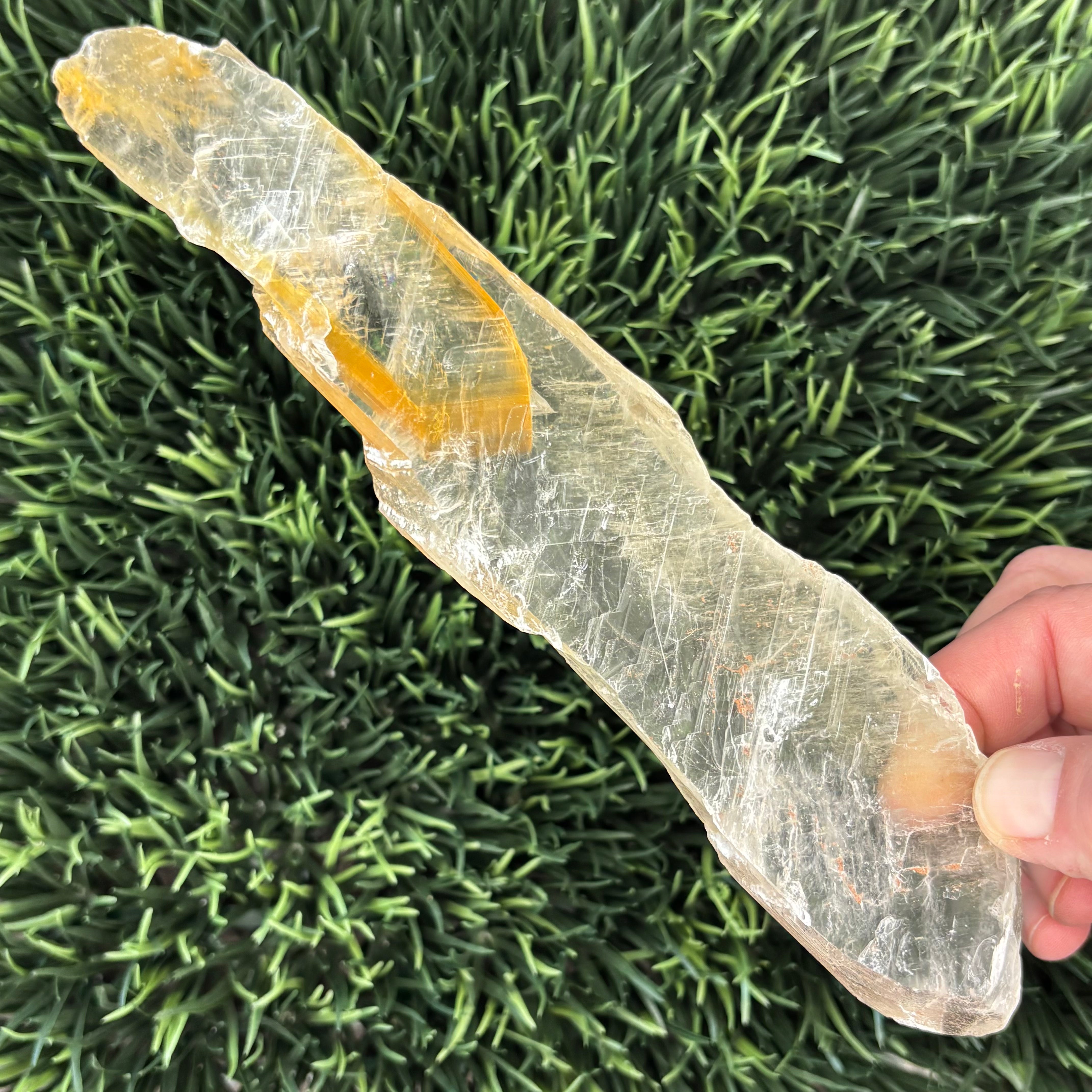 Golden Selenite Window - 592