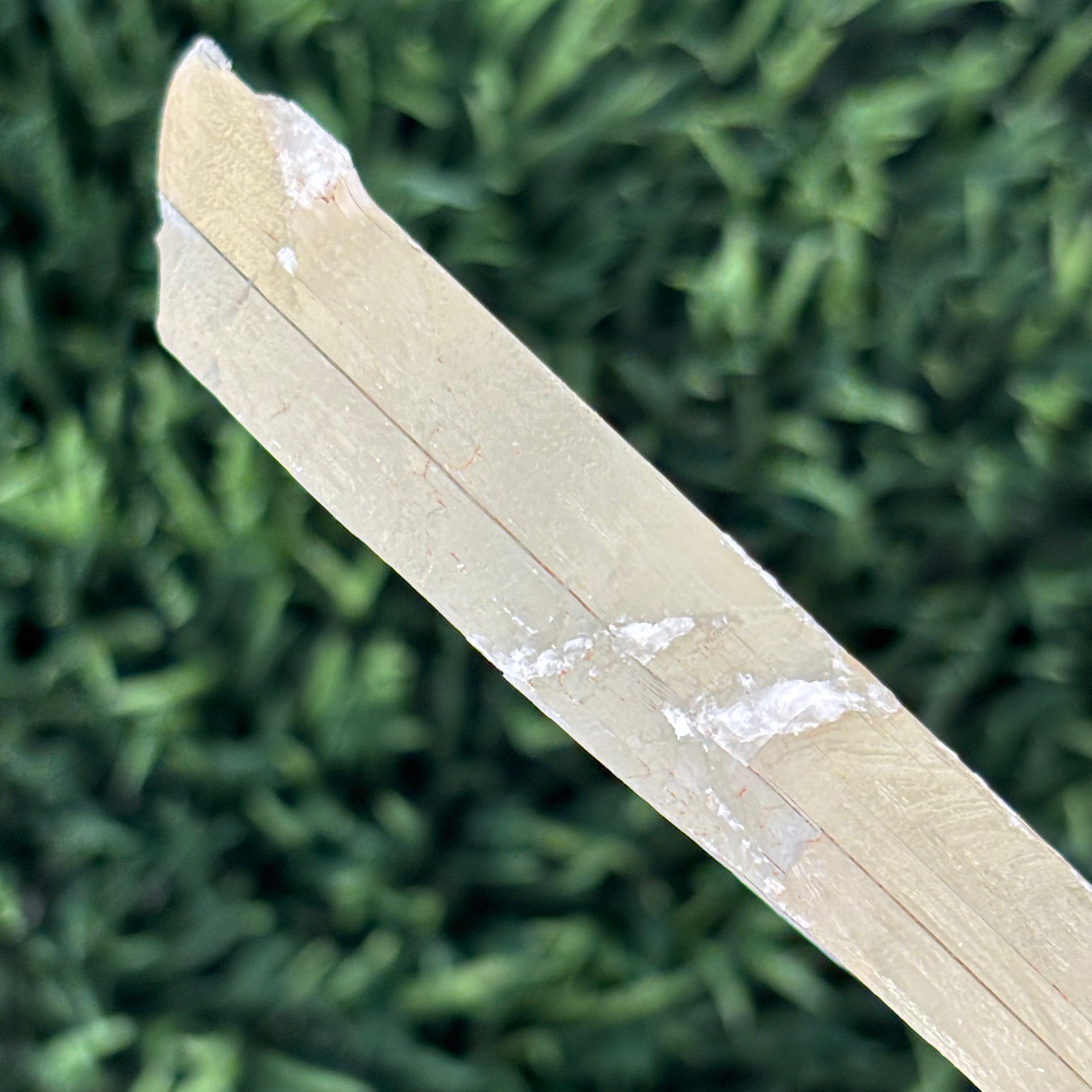 Golden Selenite Window - 592