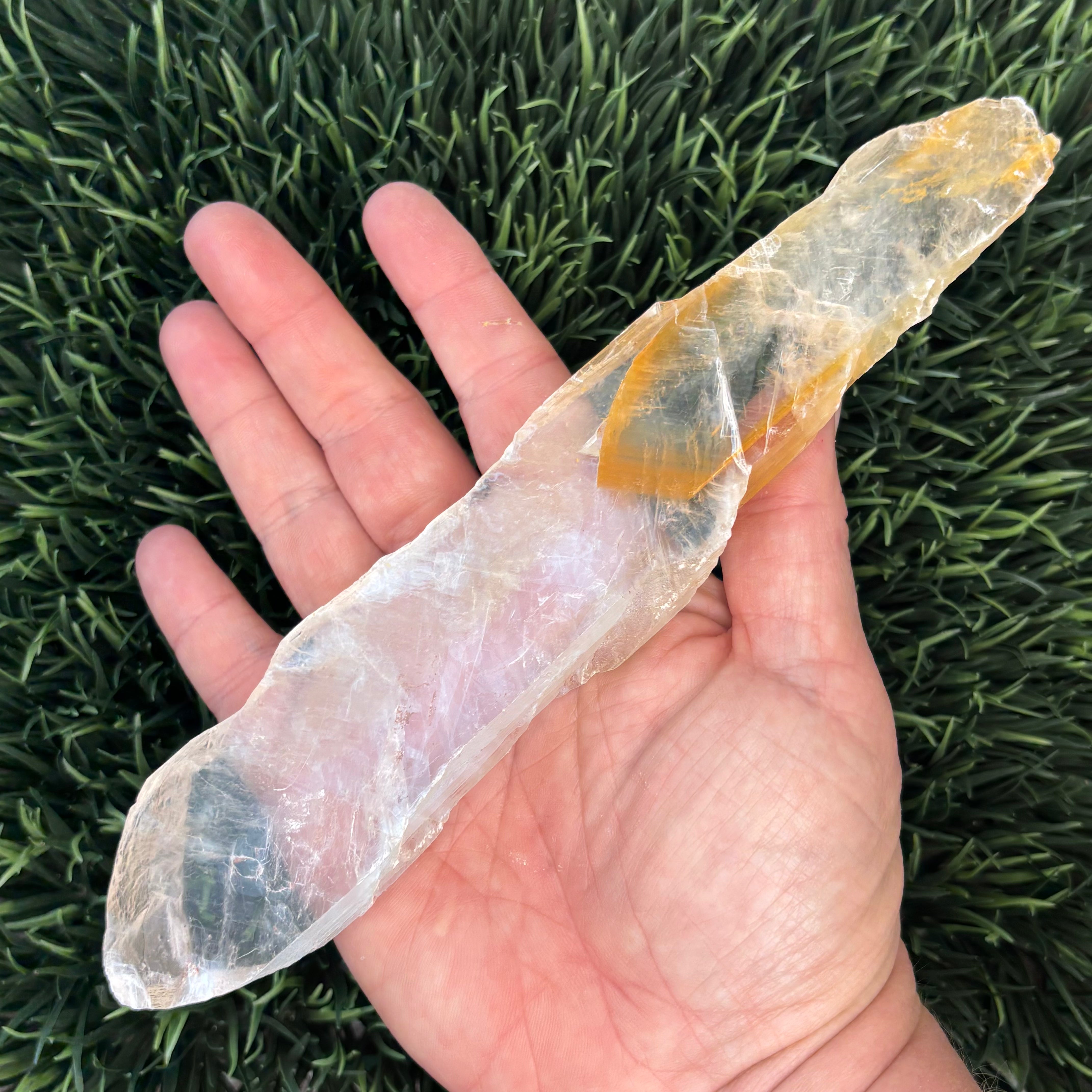 Golden Selenite Window - 592