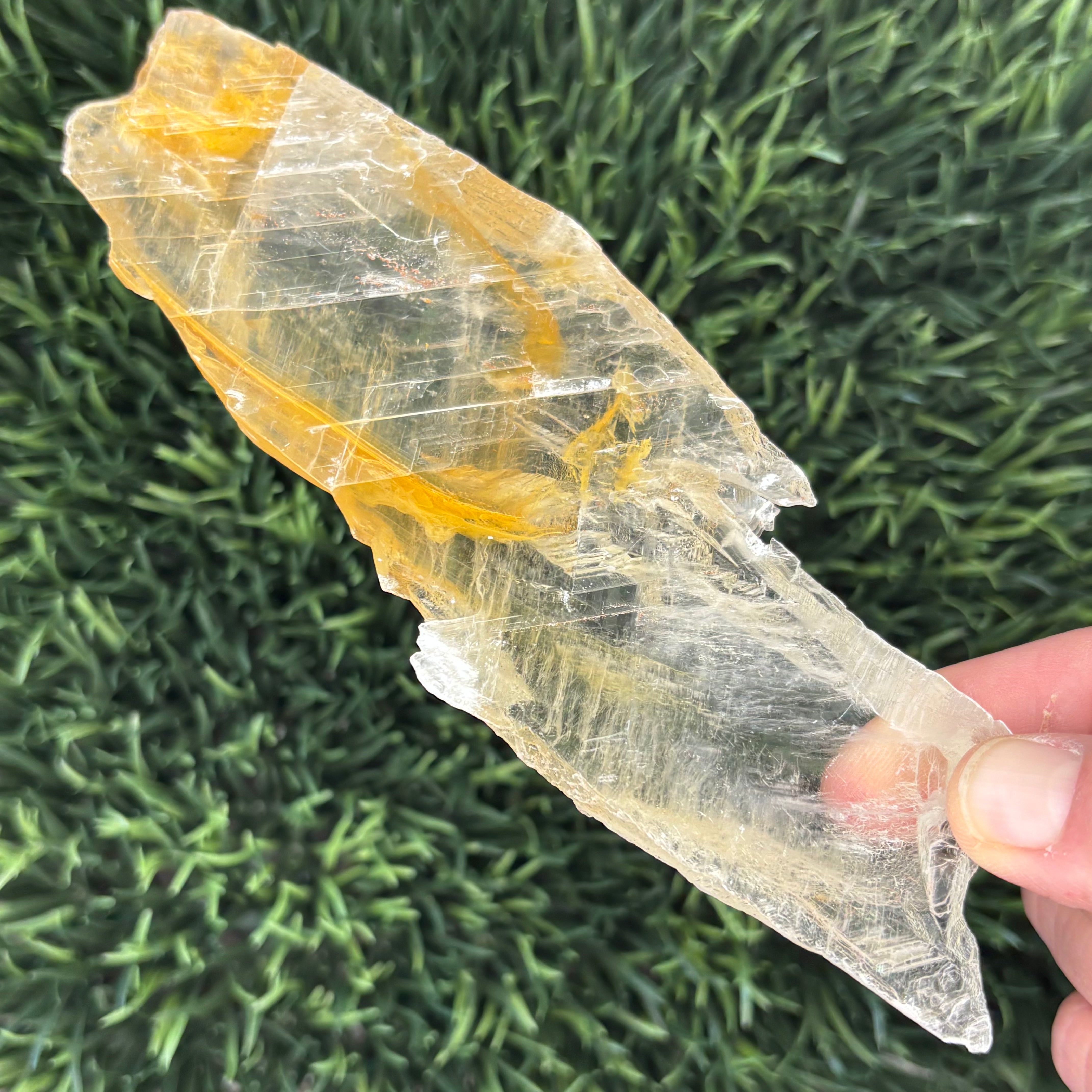 Golden Selenite Window - 593