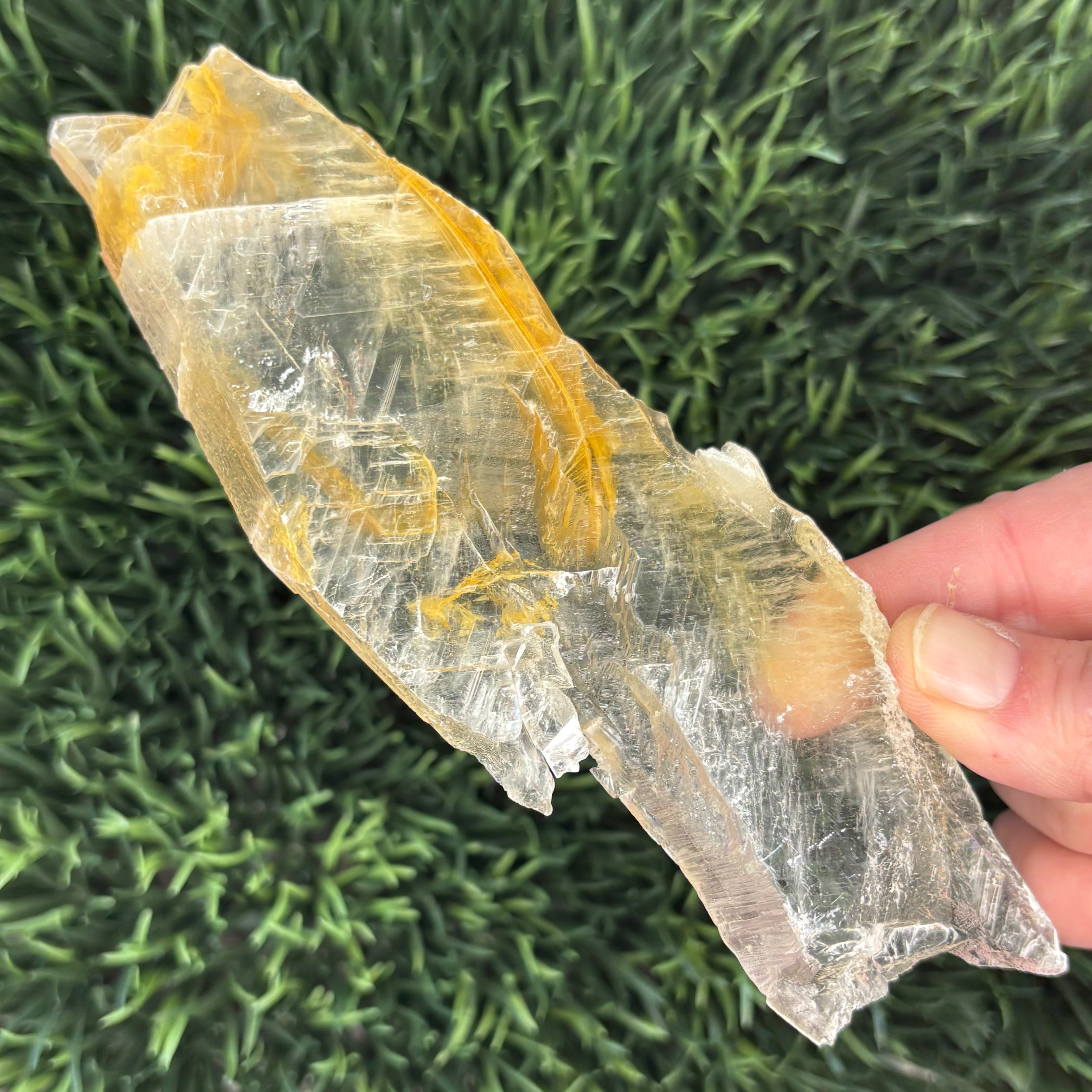 Golden Selenite Window - 593