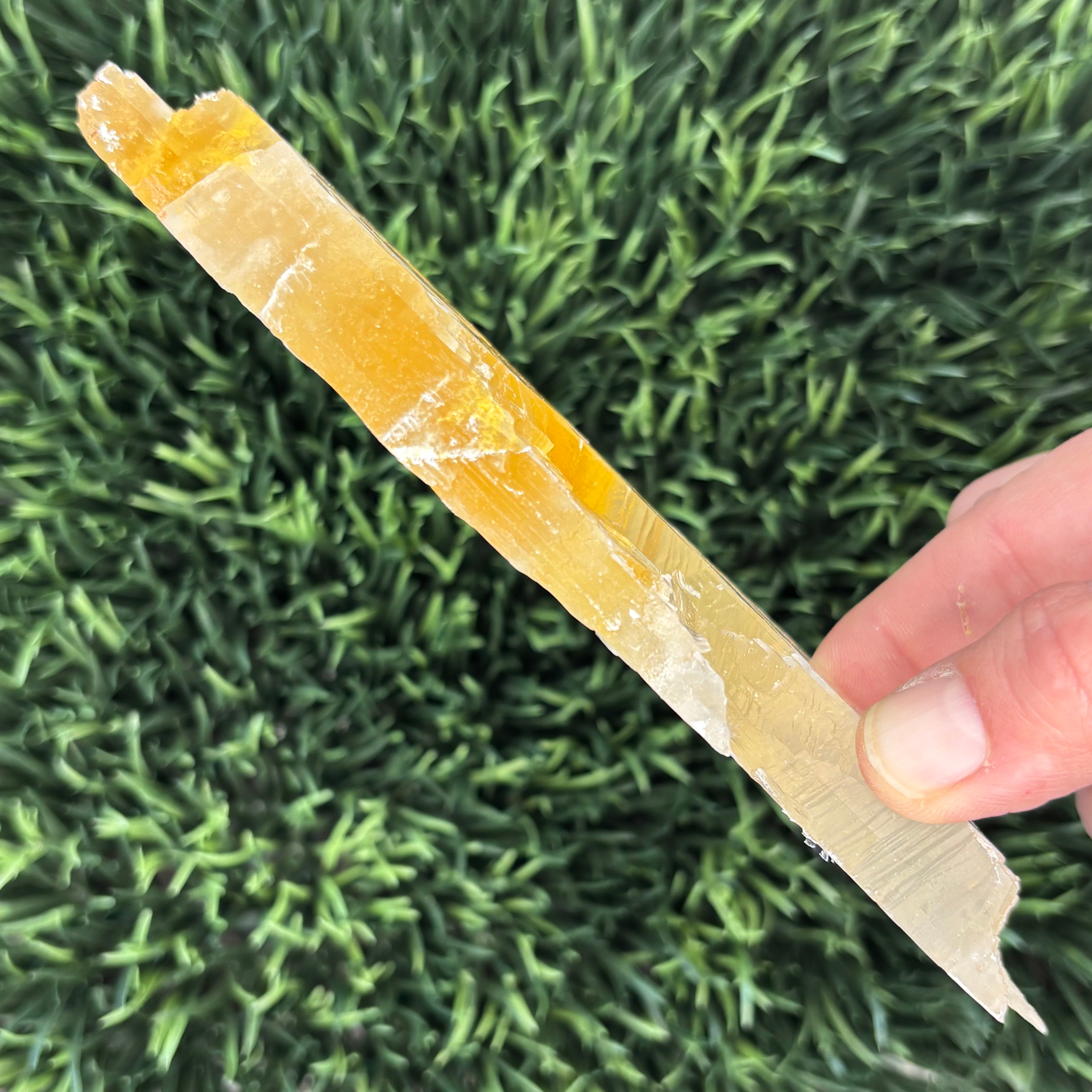 Golden Selenite Window - 593