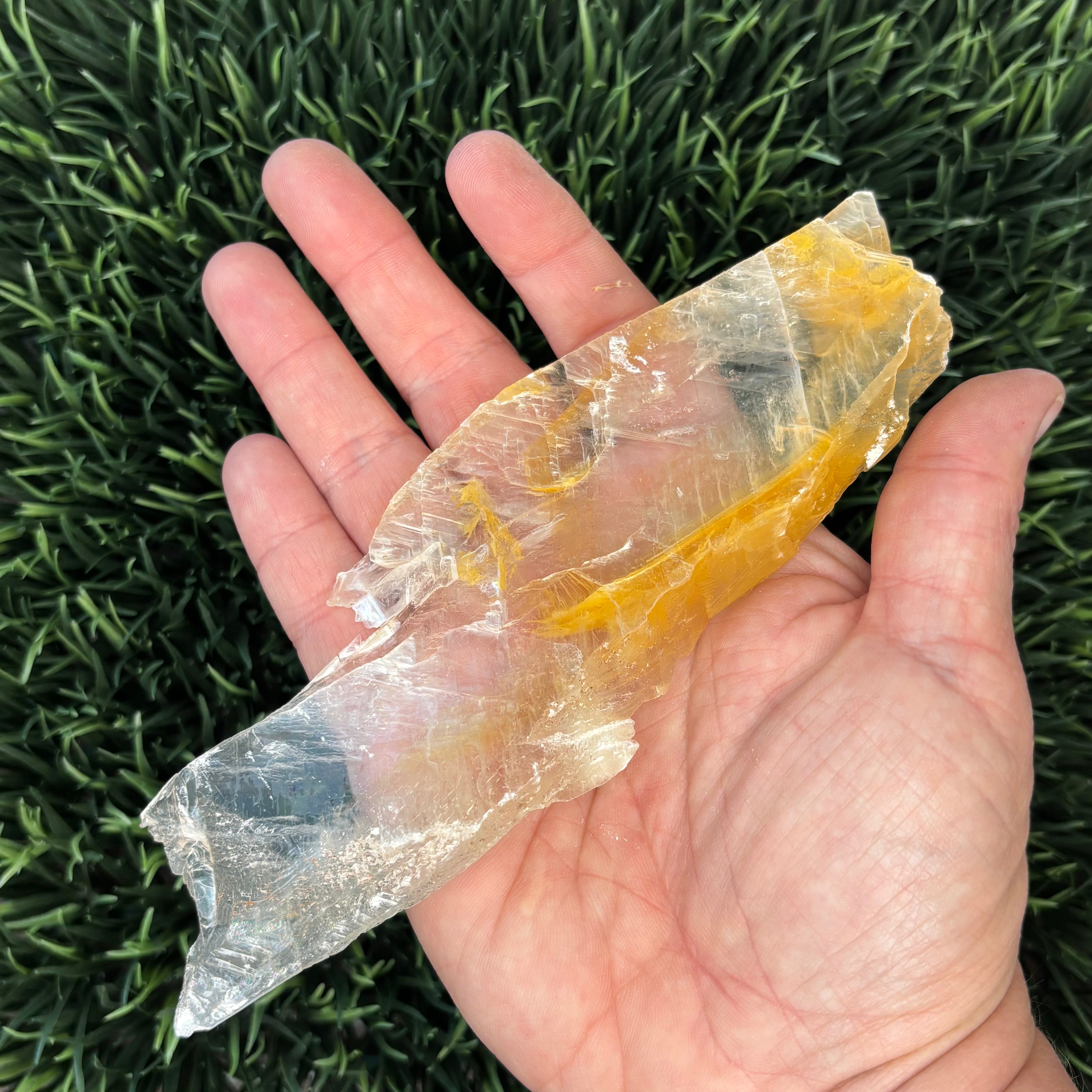Golden Selenite Window - 593