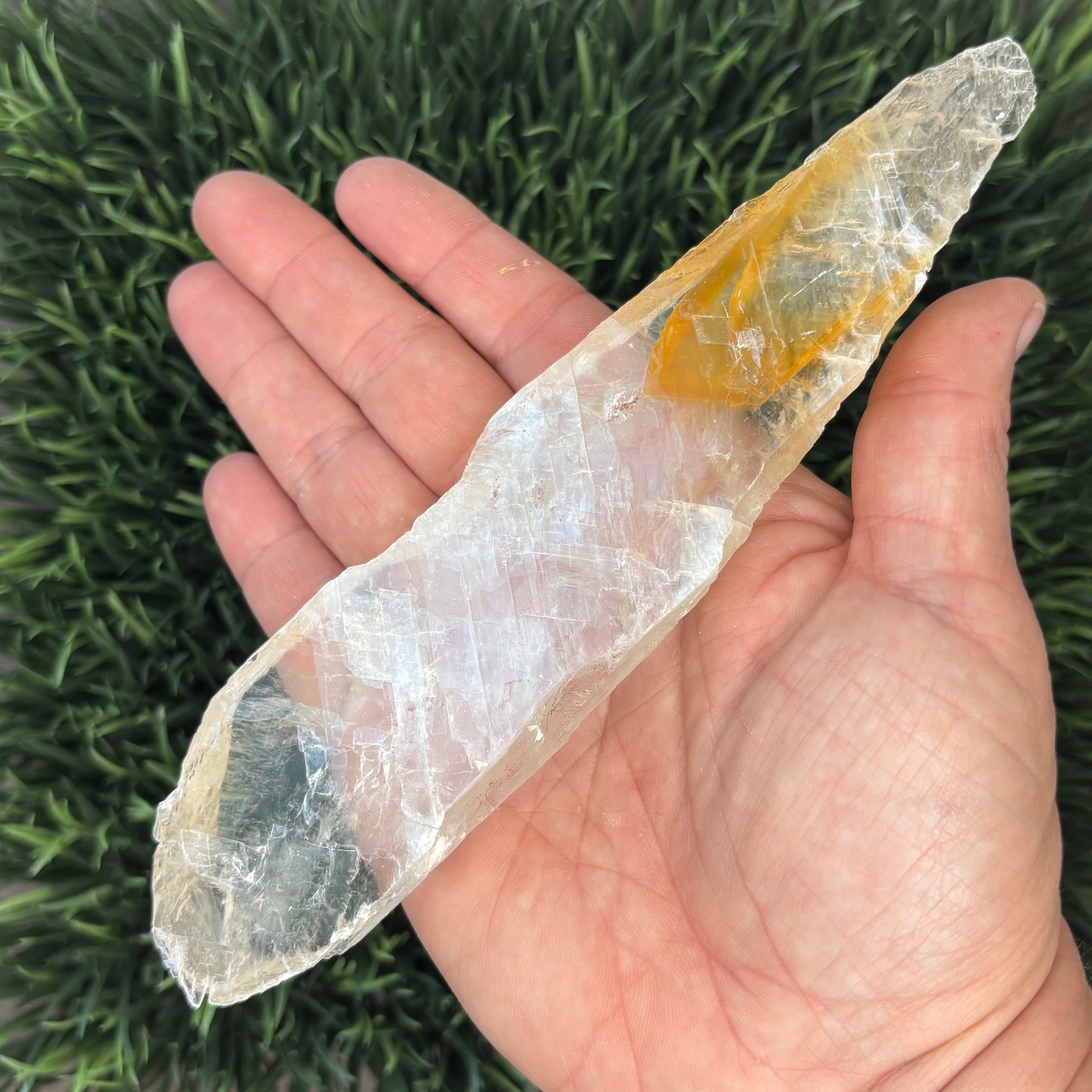 Golden Selenite Window - 594