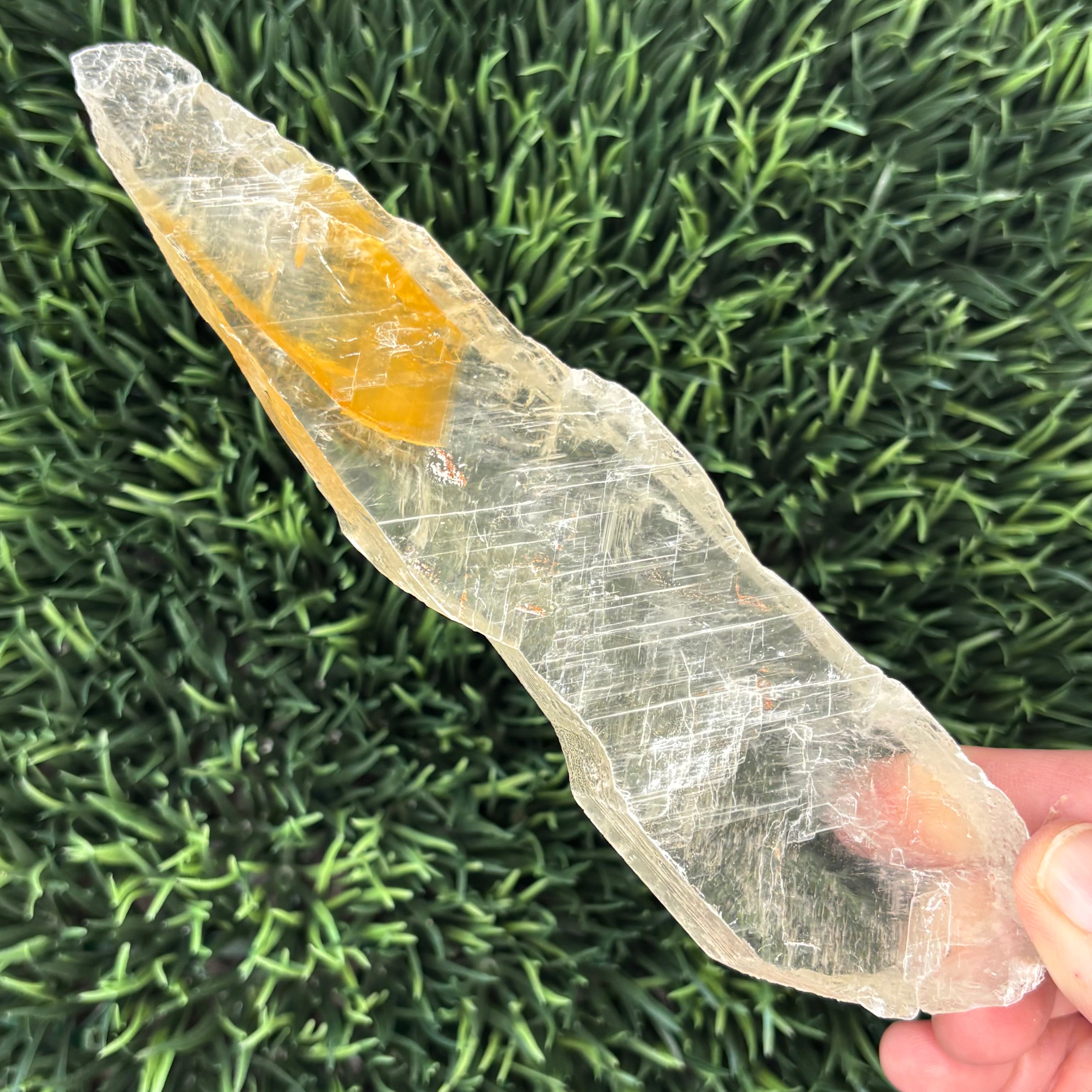 Golden Selenite Window - 594