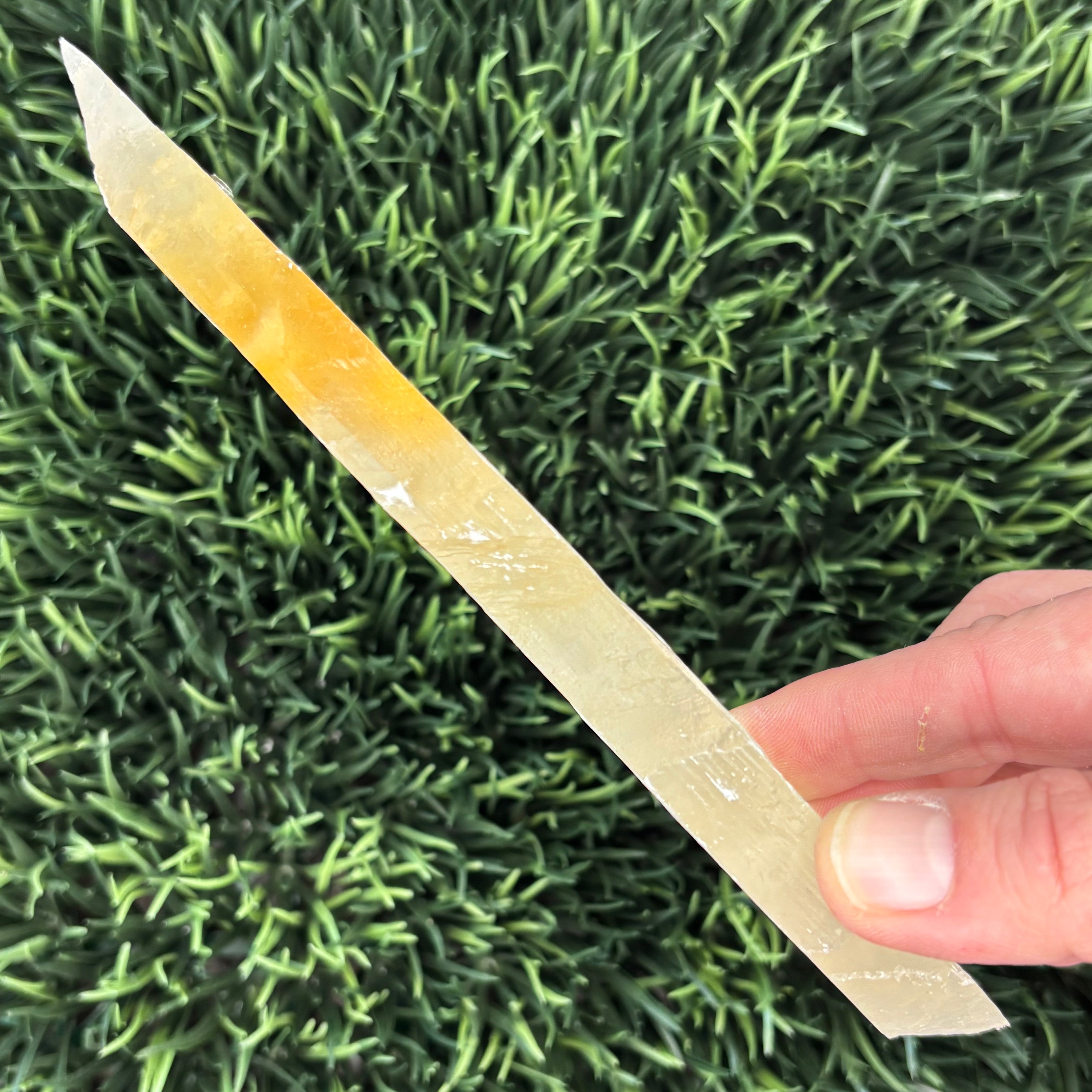 Golden Selenite Window - 594