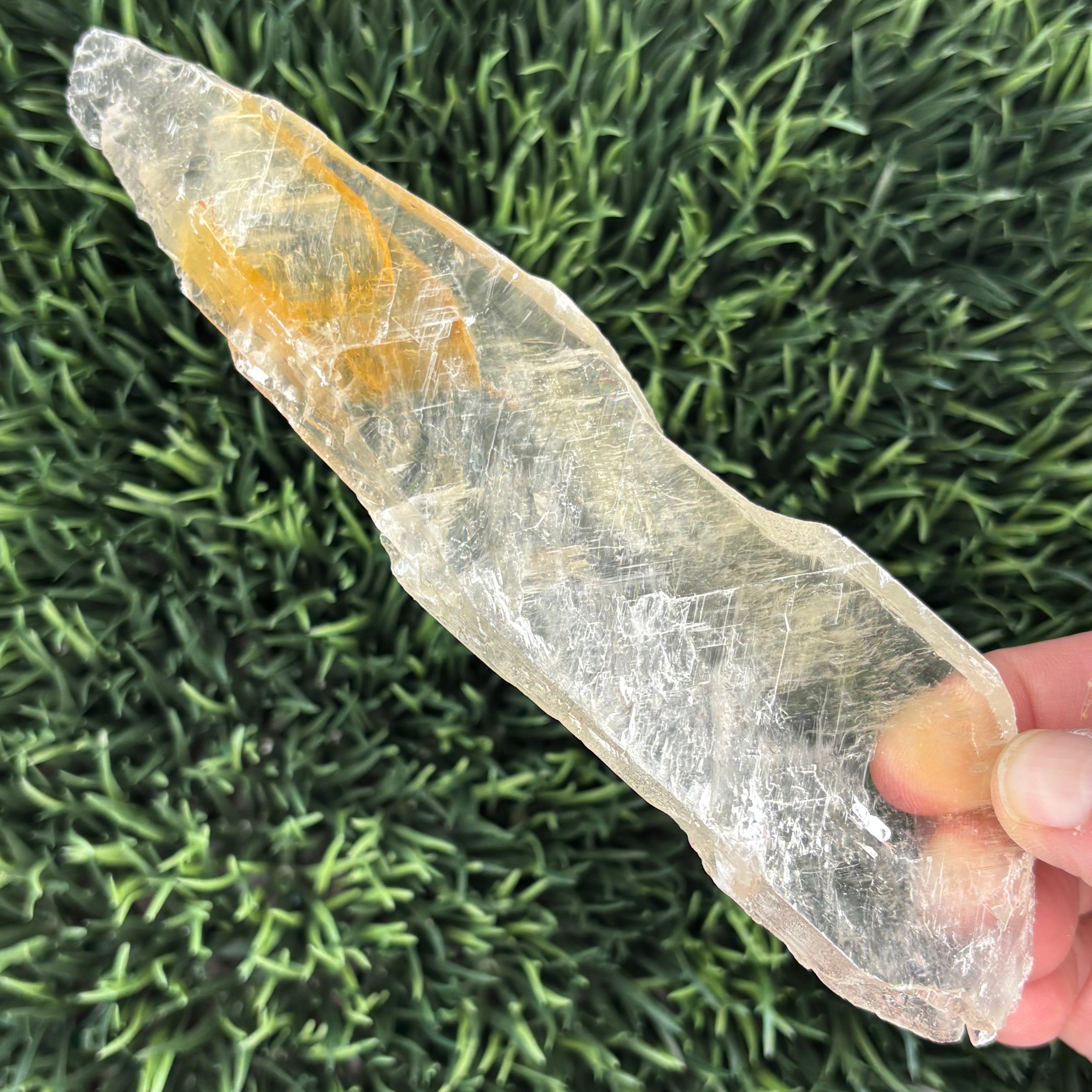 Golden Selenite Window - 594