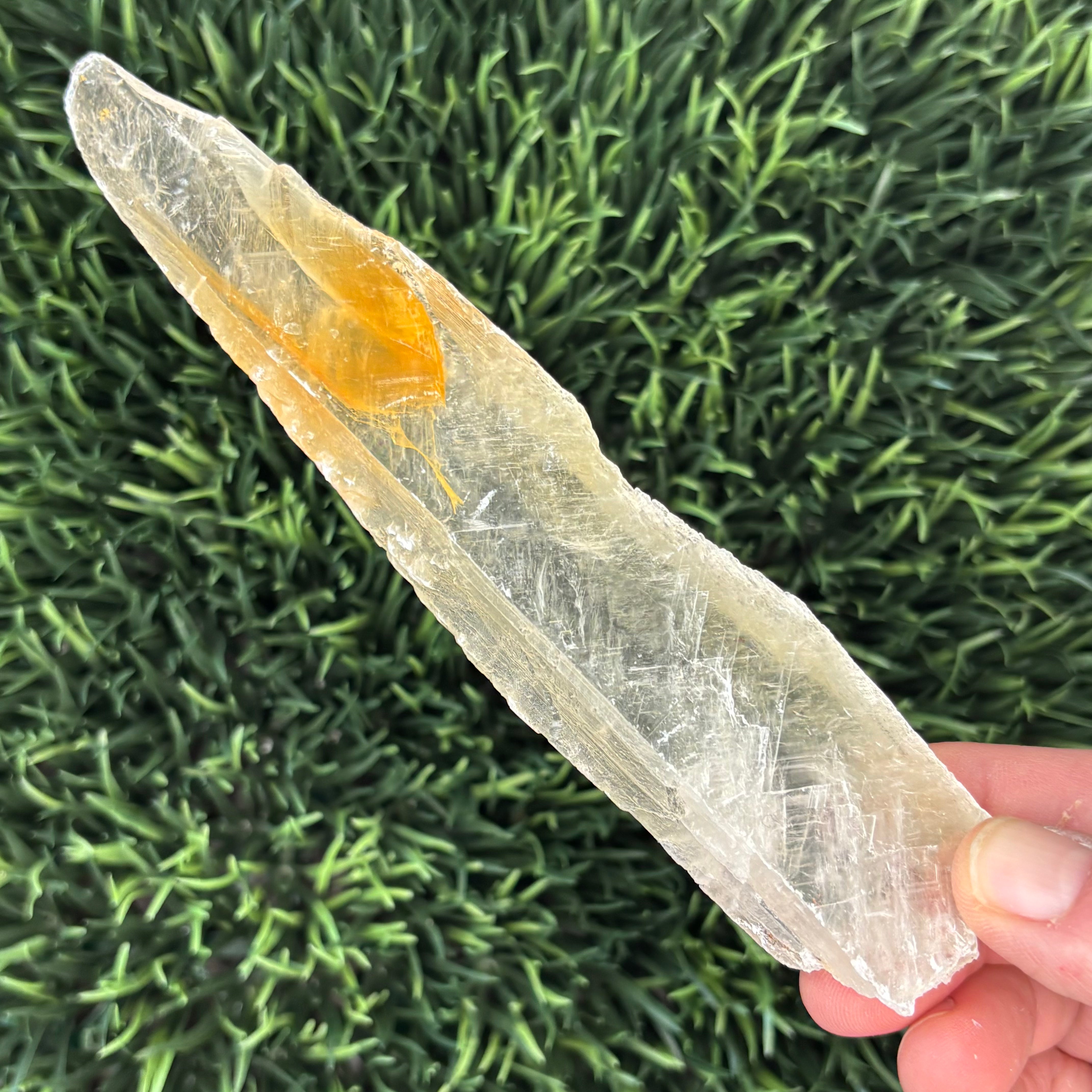 Golden Selenite Window - 595