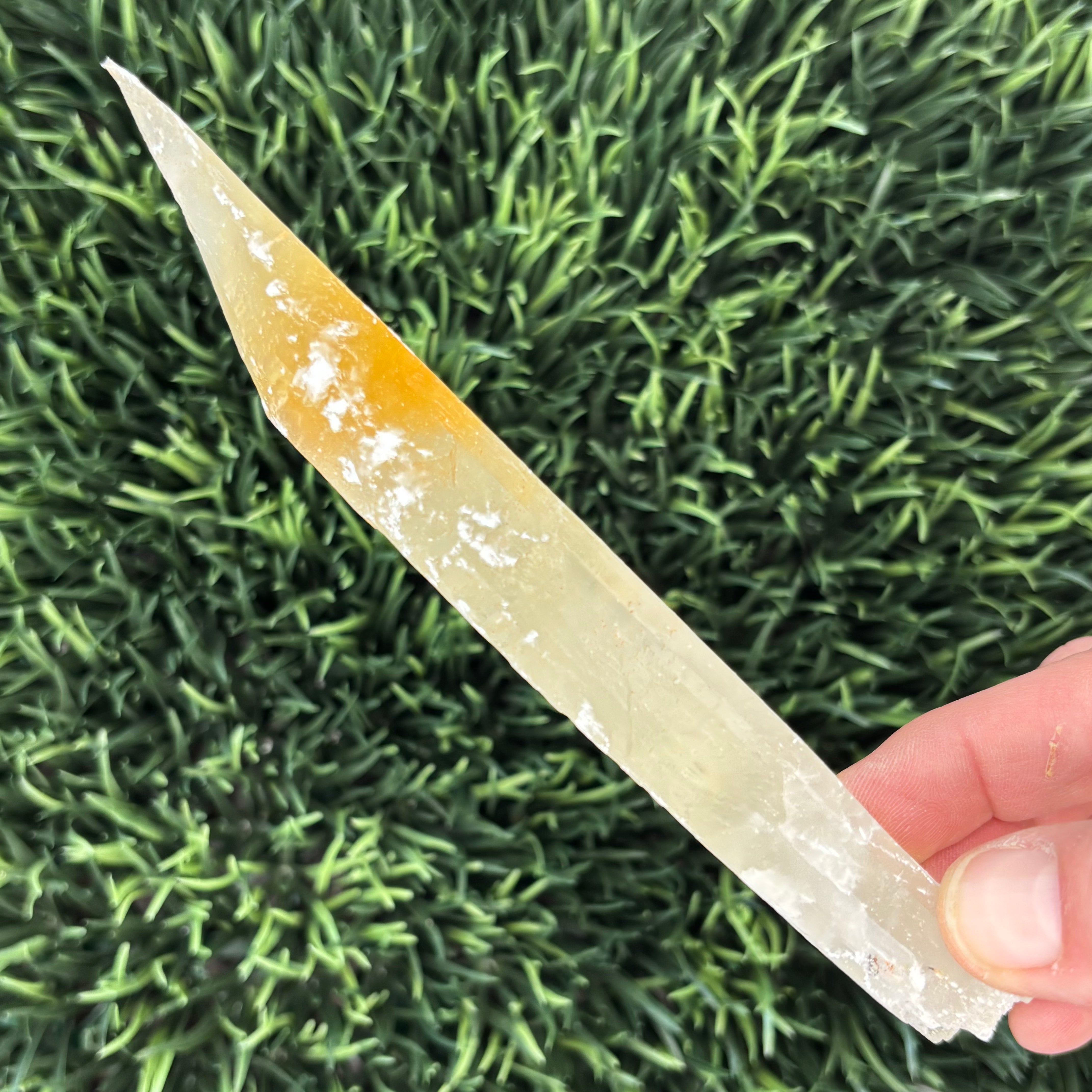 Golden Selenite Window - 595