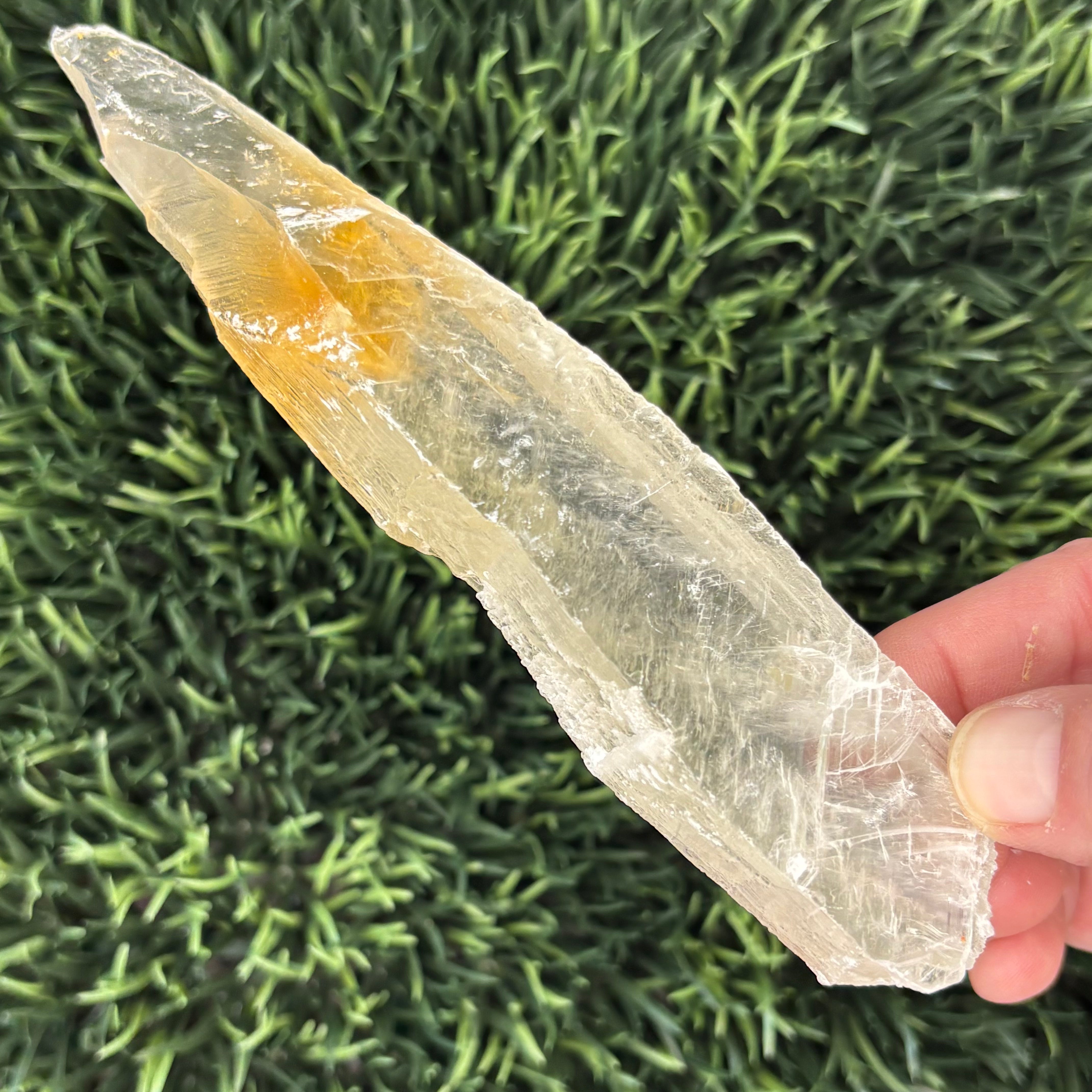Golden Selenite Window - 595