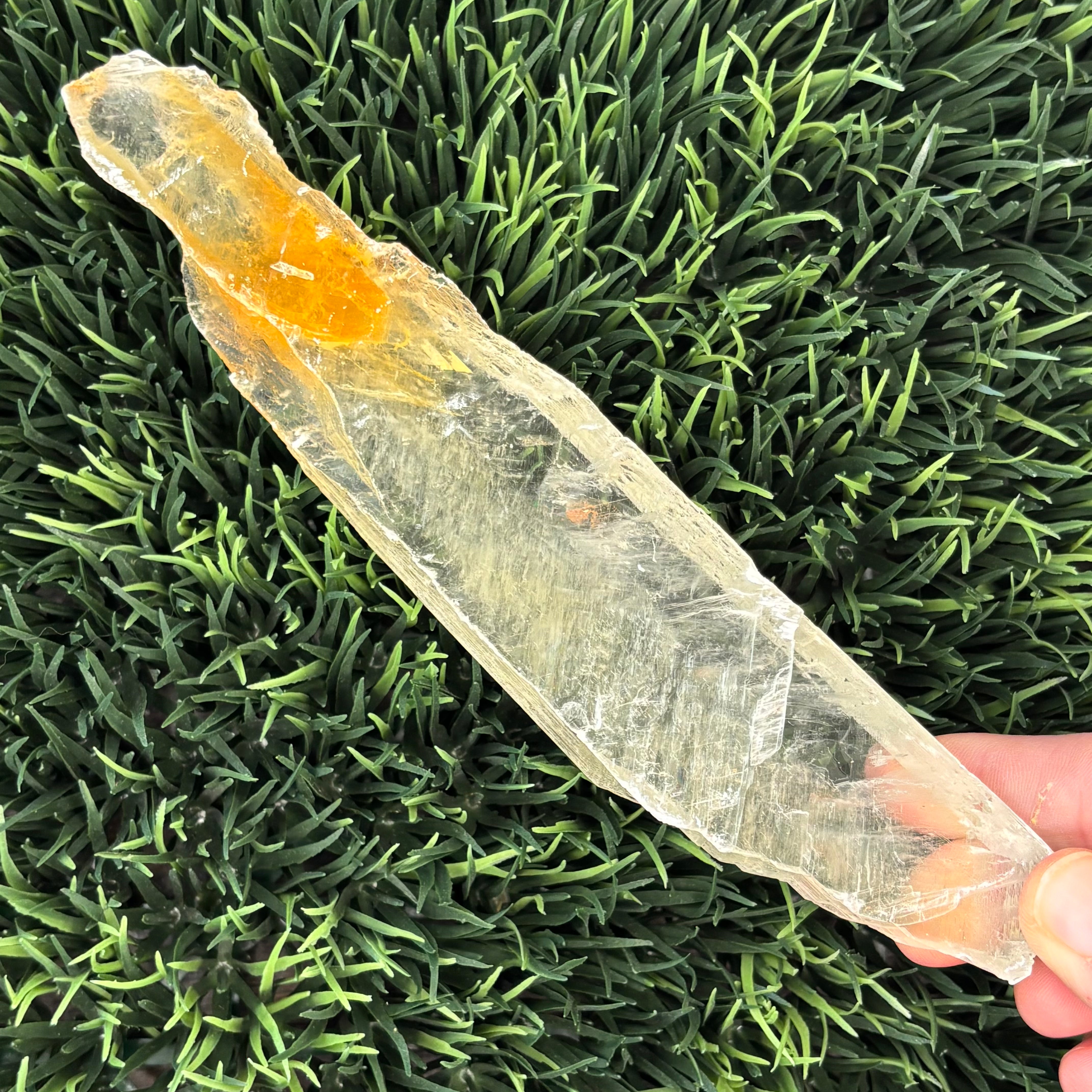 Golden Selenite Window - 596