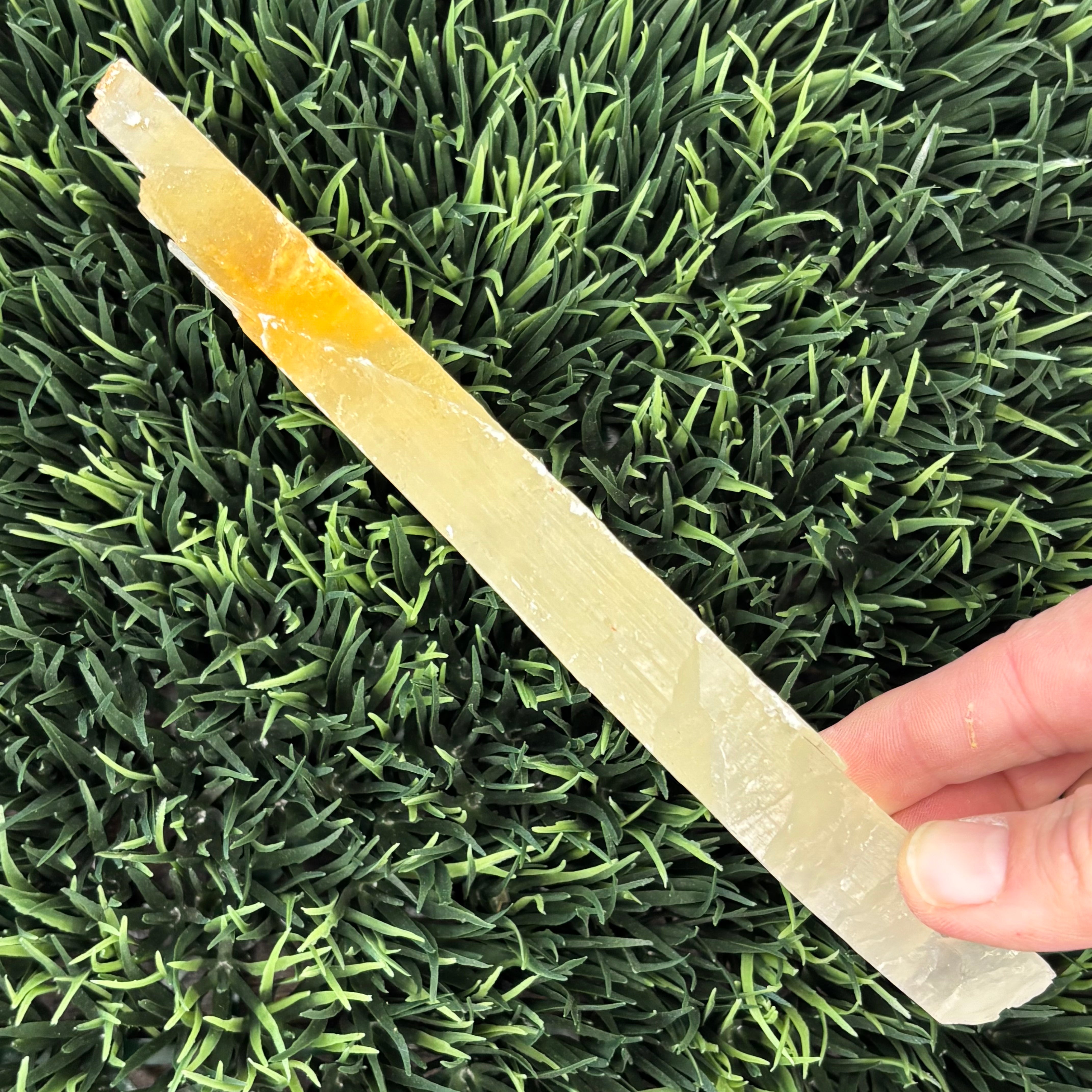 Golden Selenite Window - 596