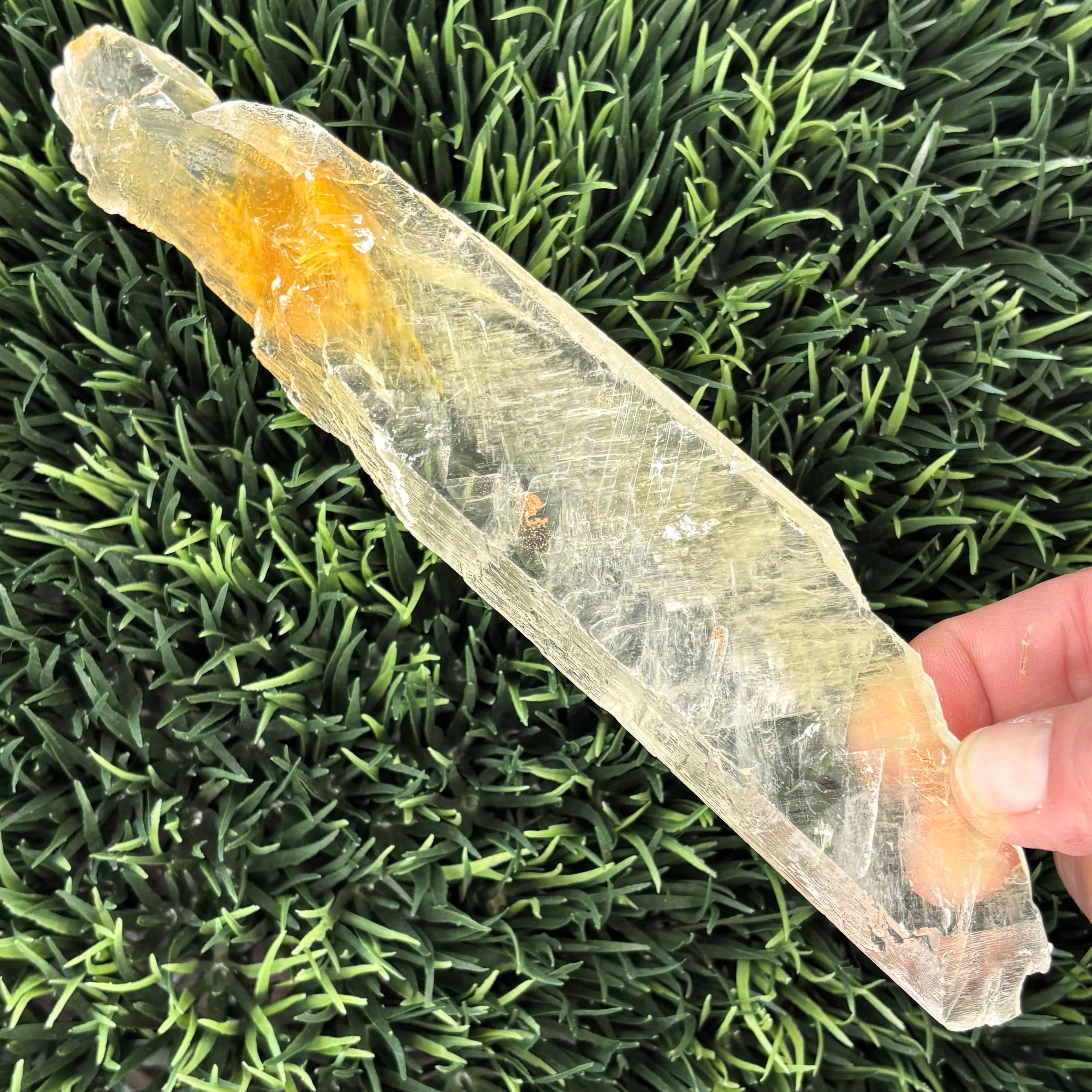 Golden Selenite Window - 596