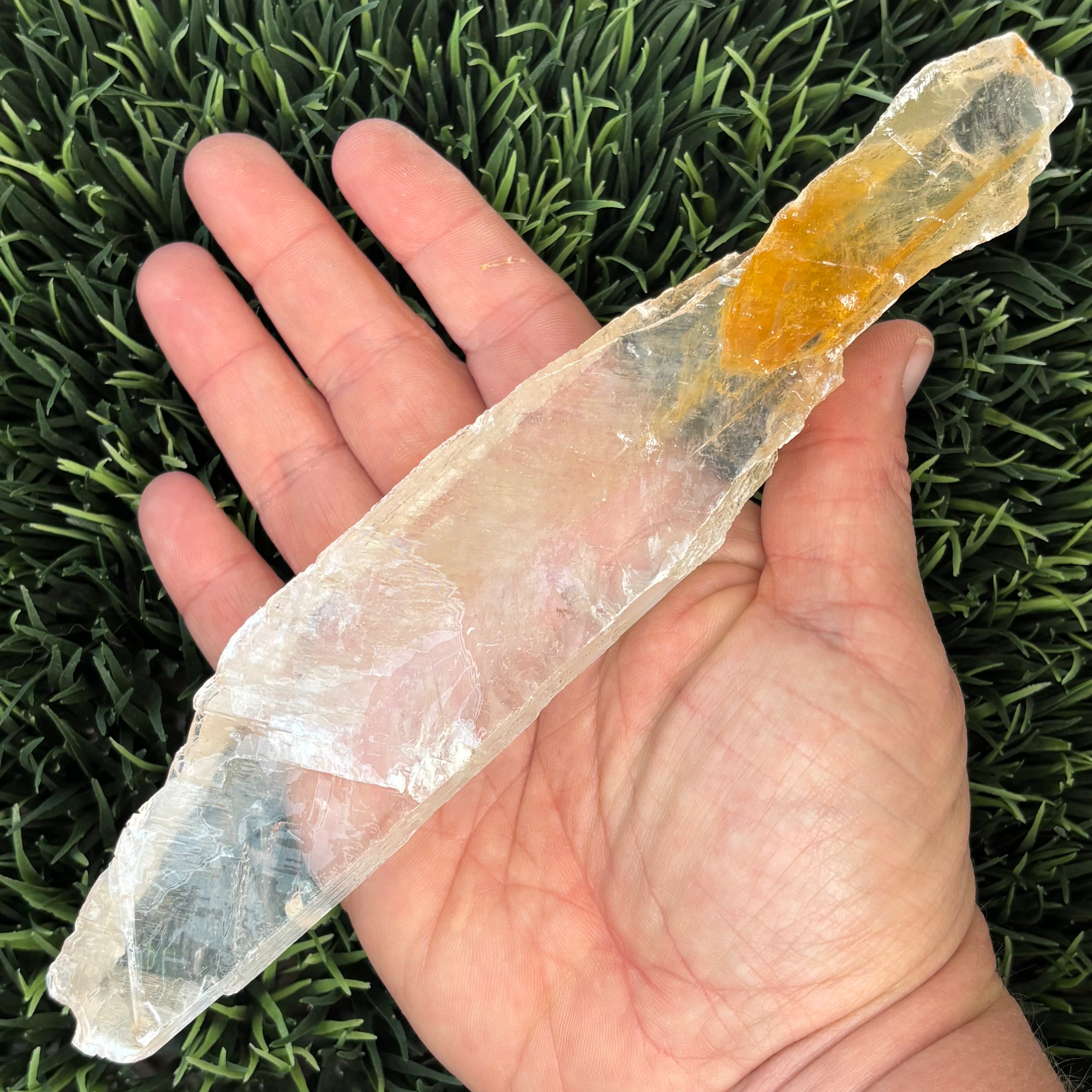 Golden Selenite Window - 596