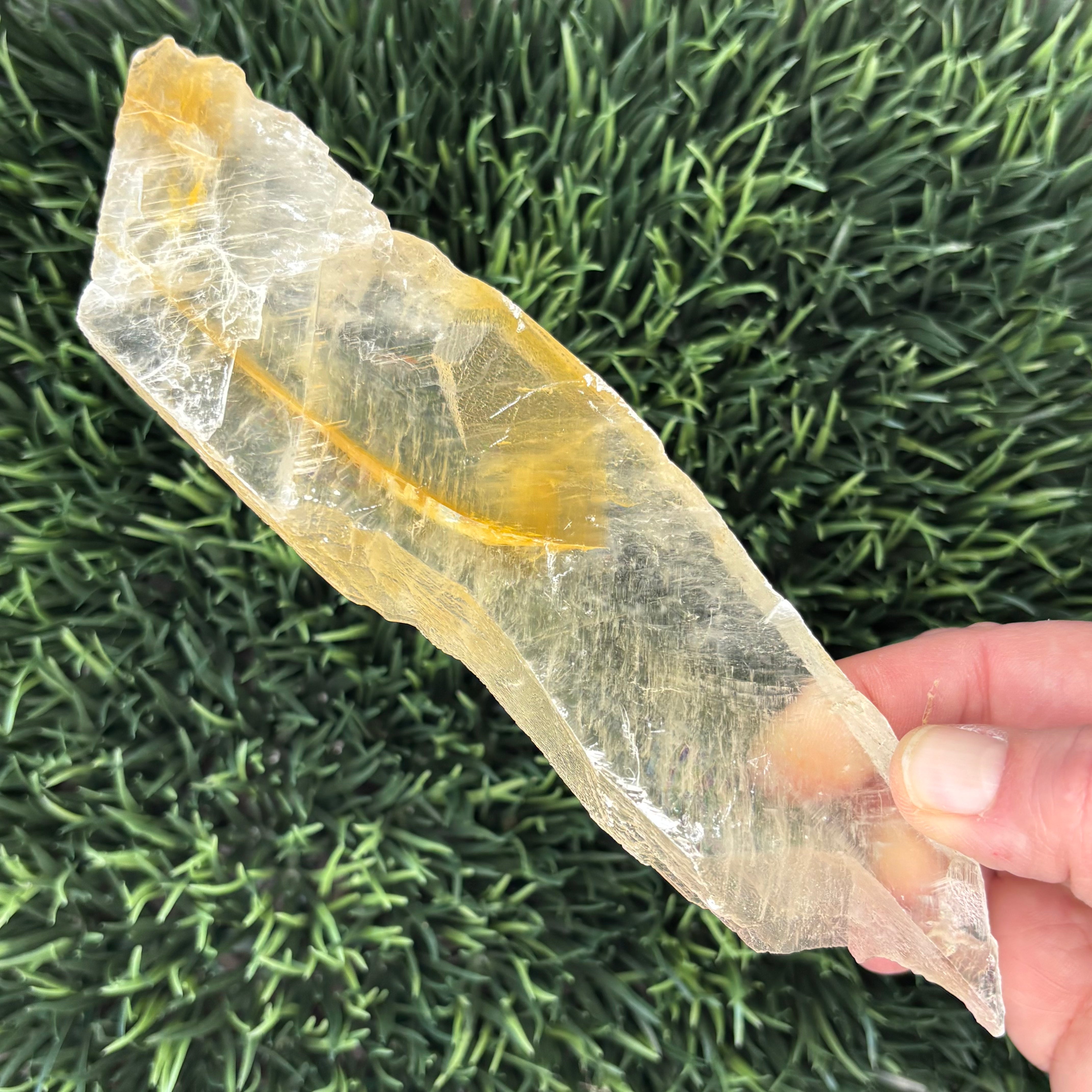 Golden Selenite Window - 597