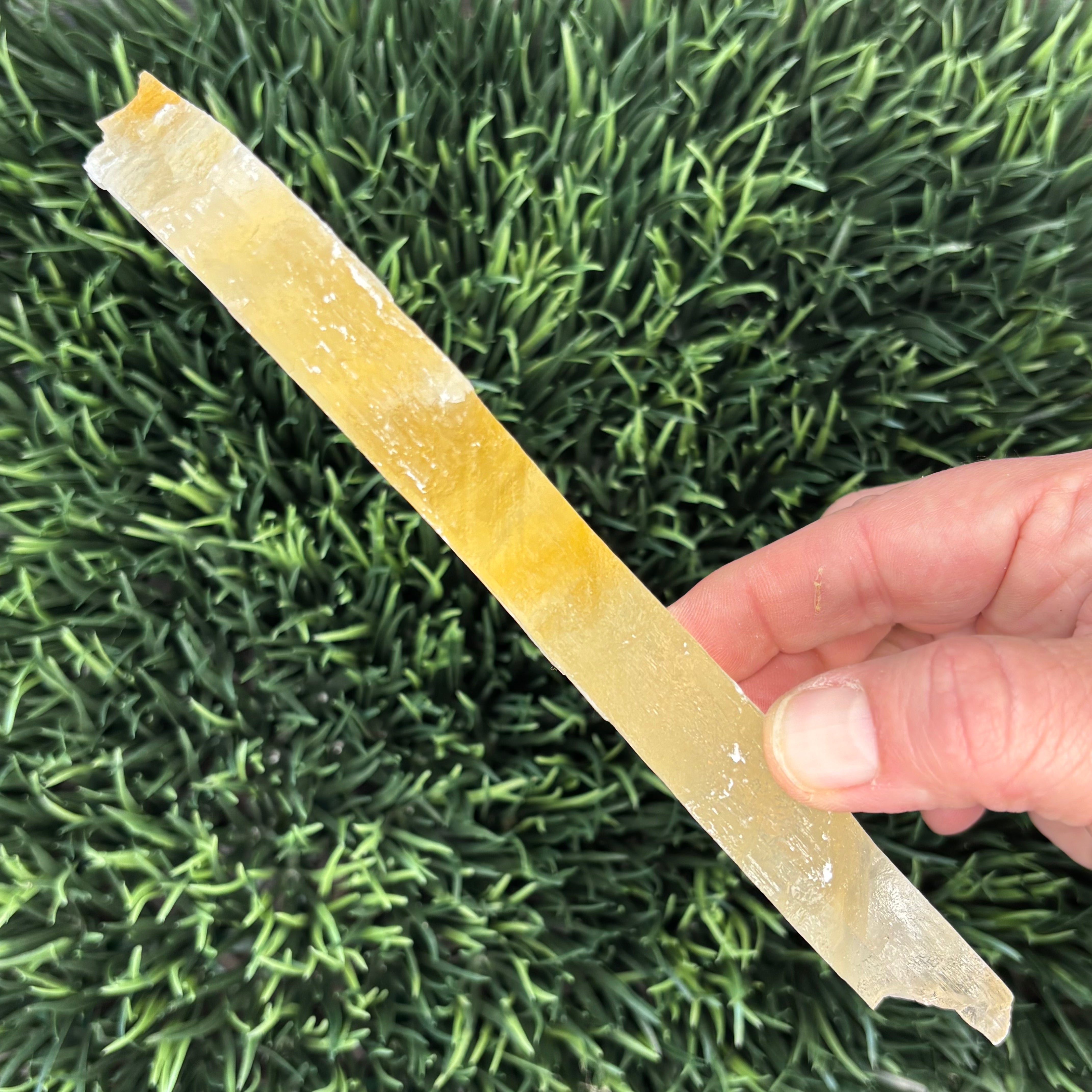 Golden Selenite Window - 597