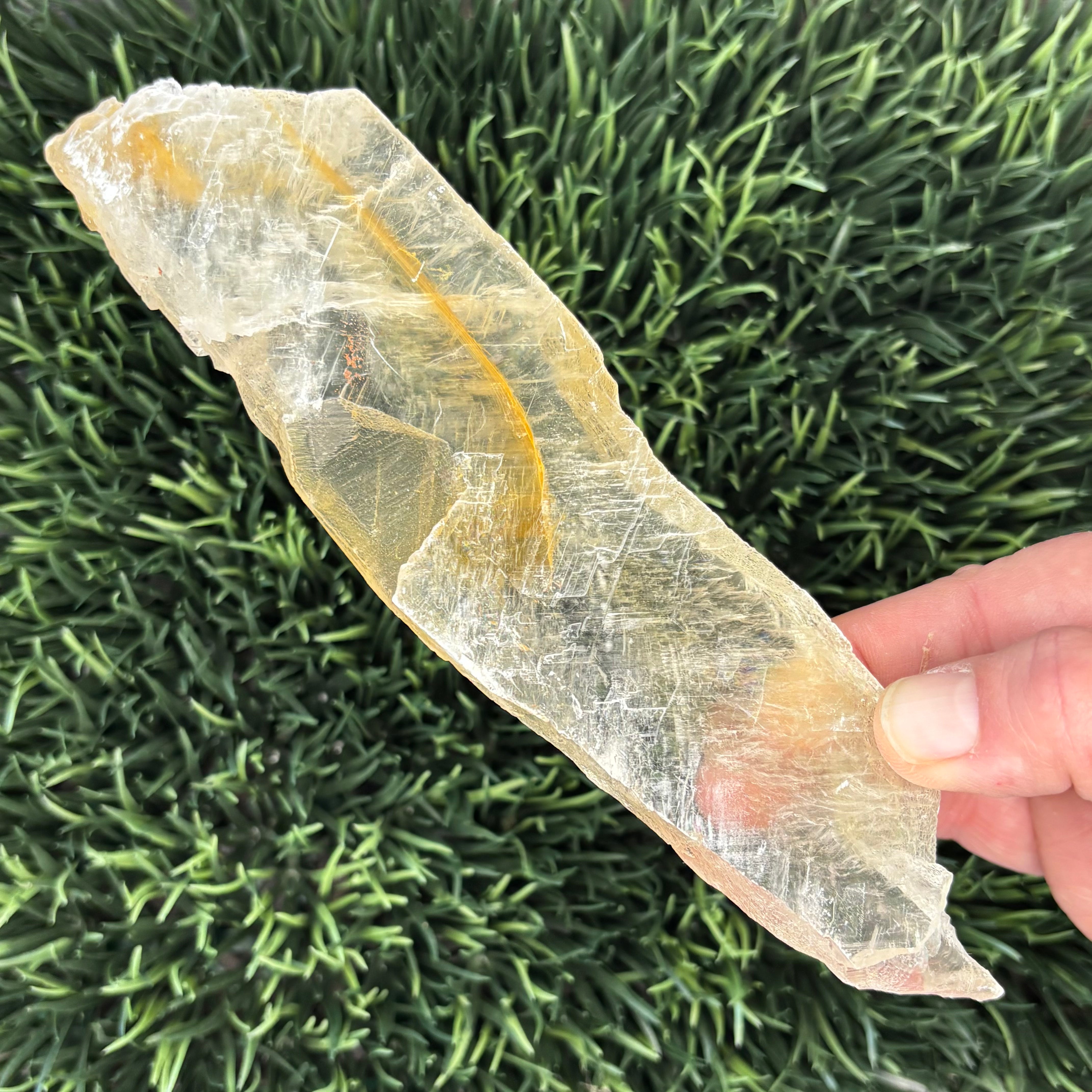 Golden Selenite Window - 597