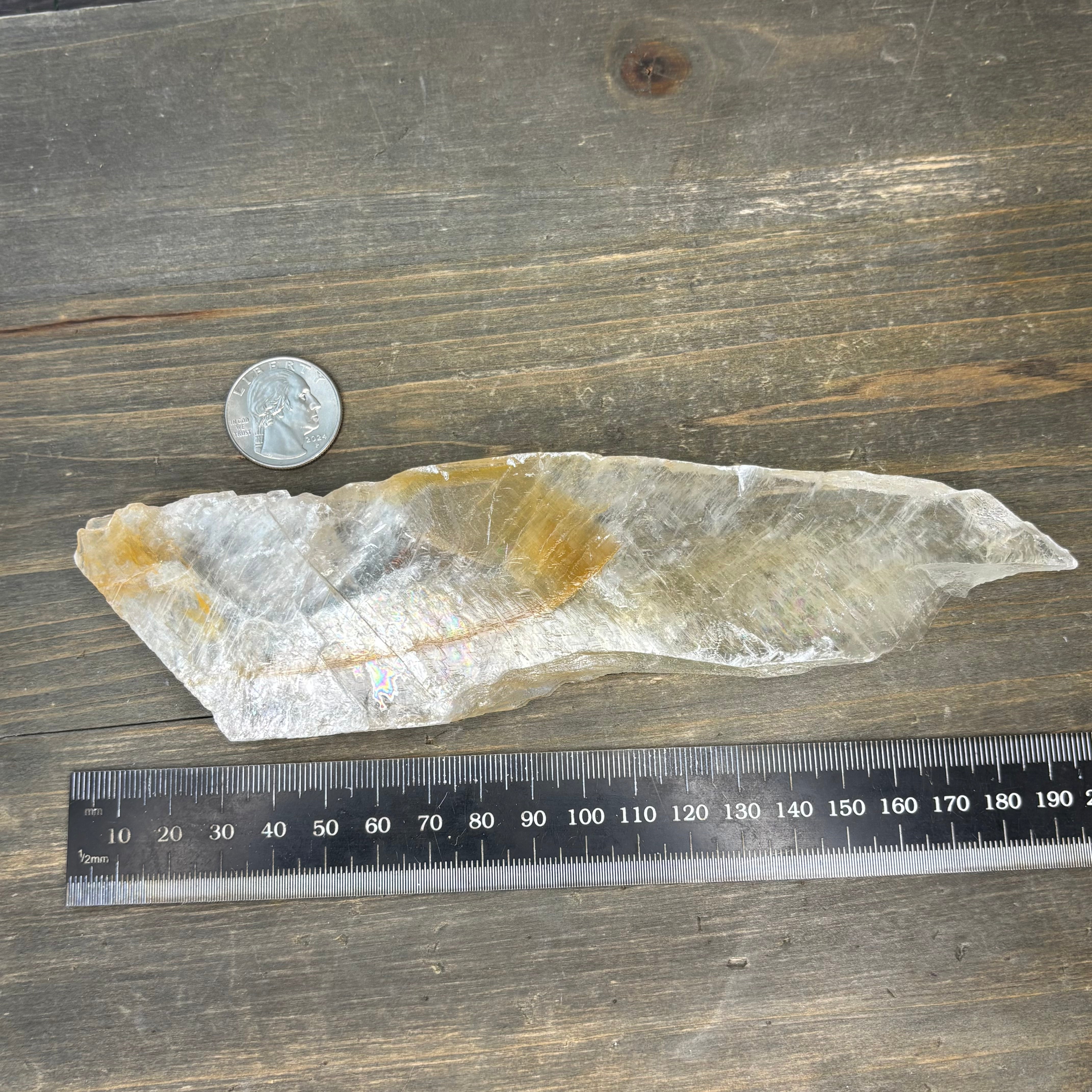 Golden Selenite Window - 597