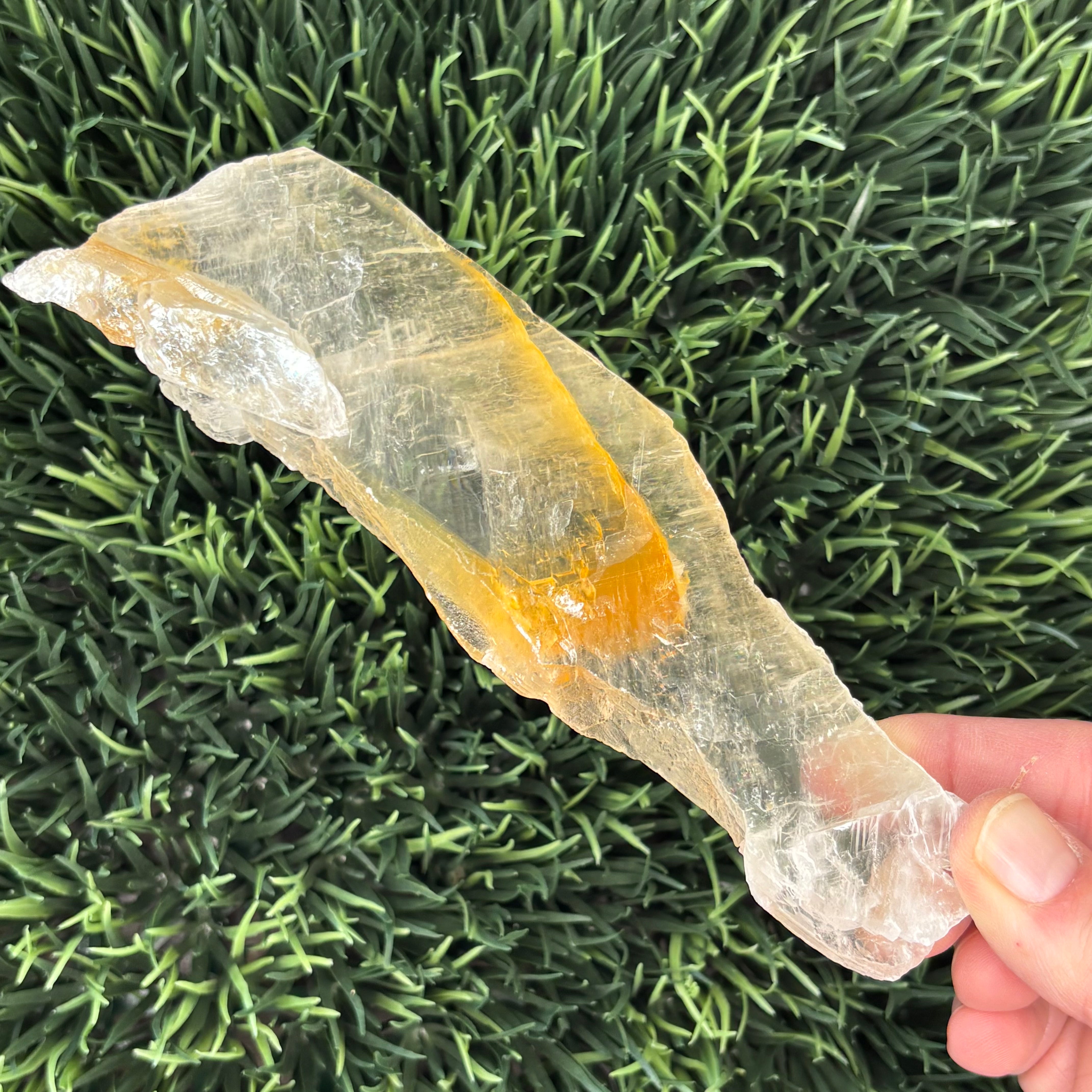 Golden Selenite Window - 598