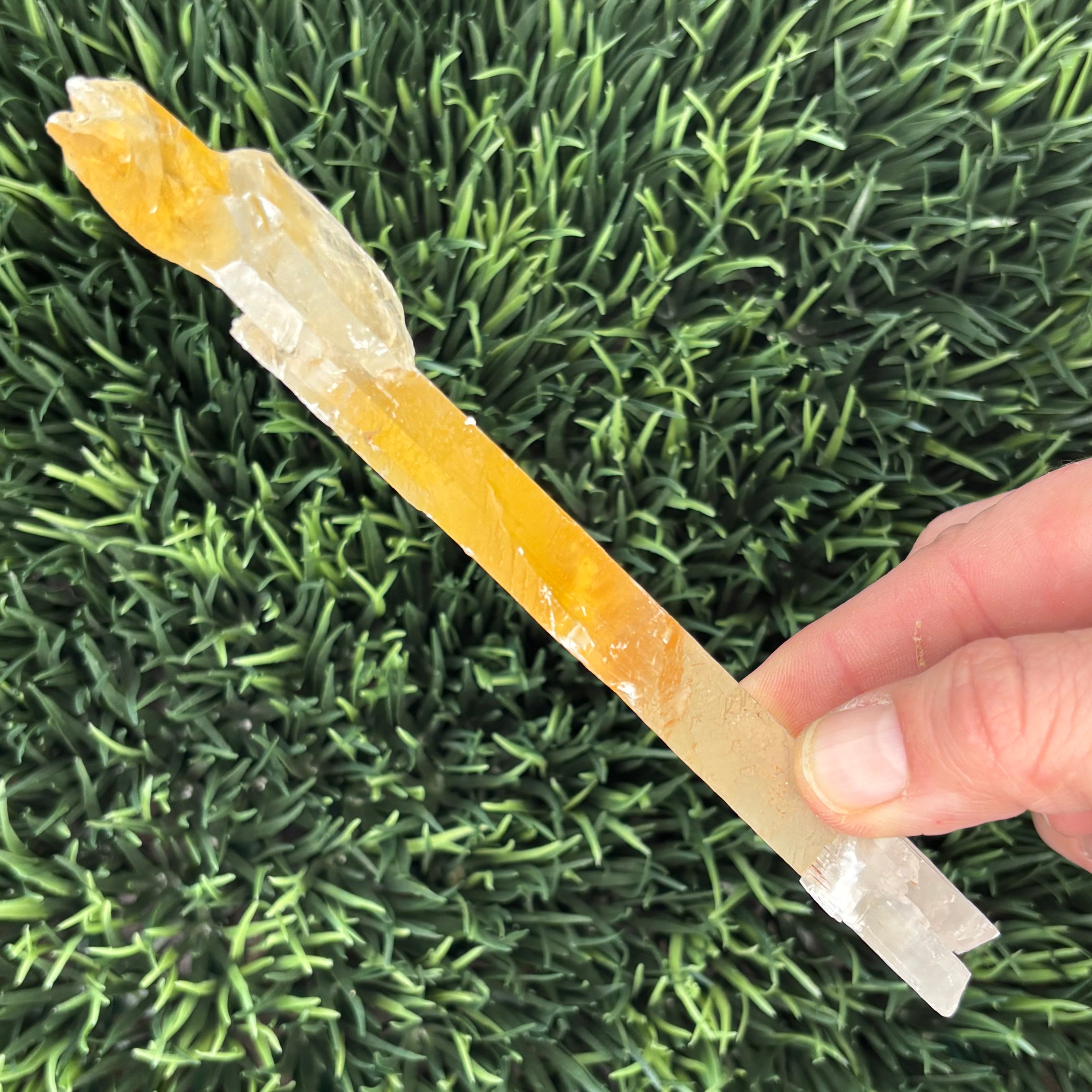 Golden Selenite Window - 598