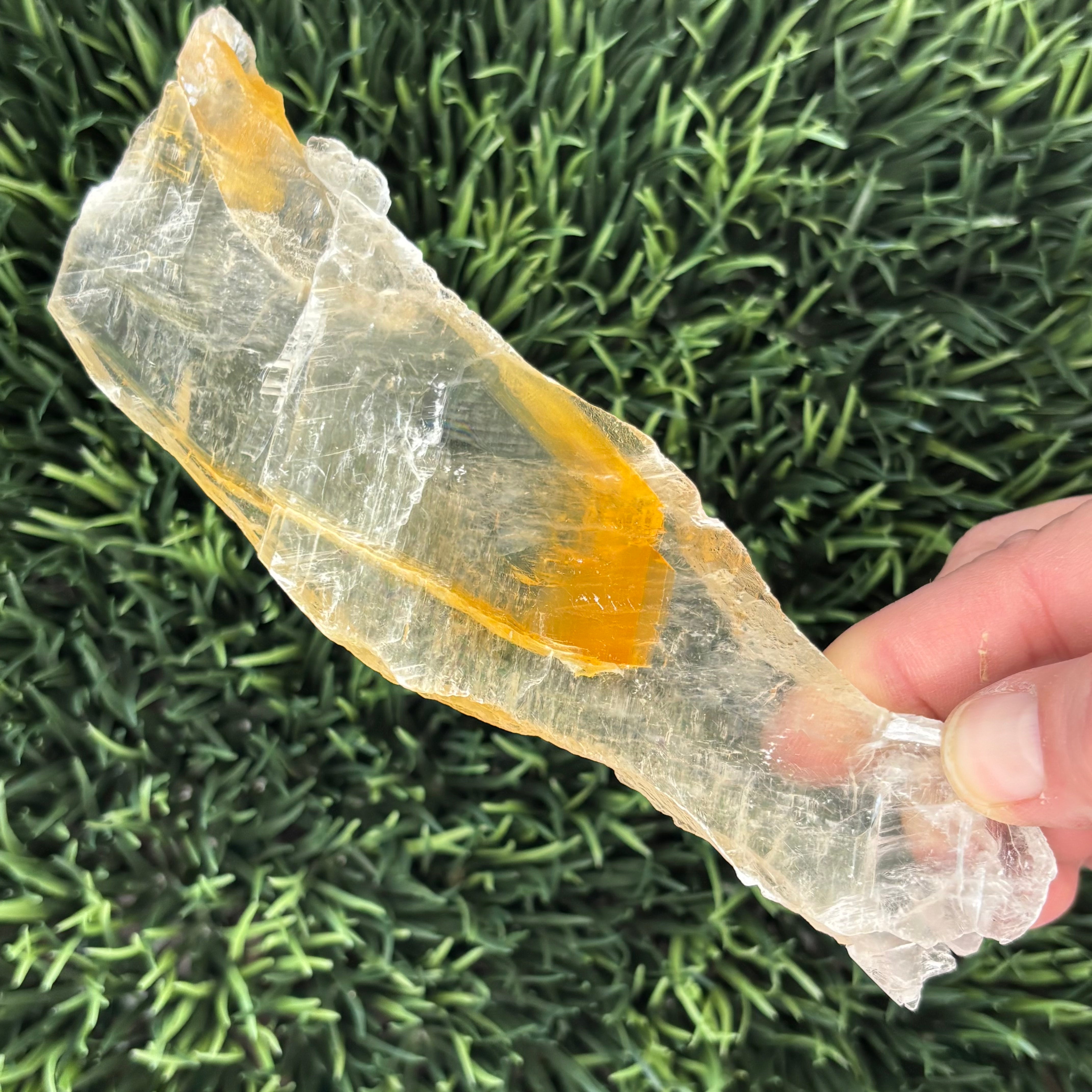 Golden Selenite Window - 598