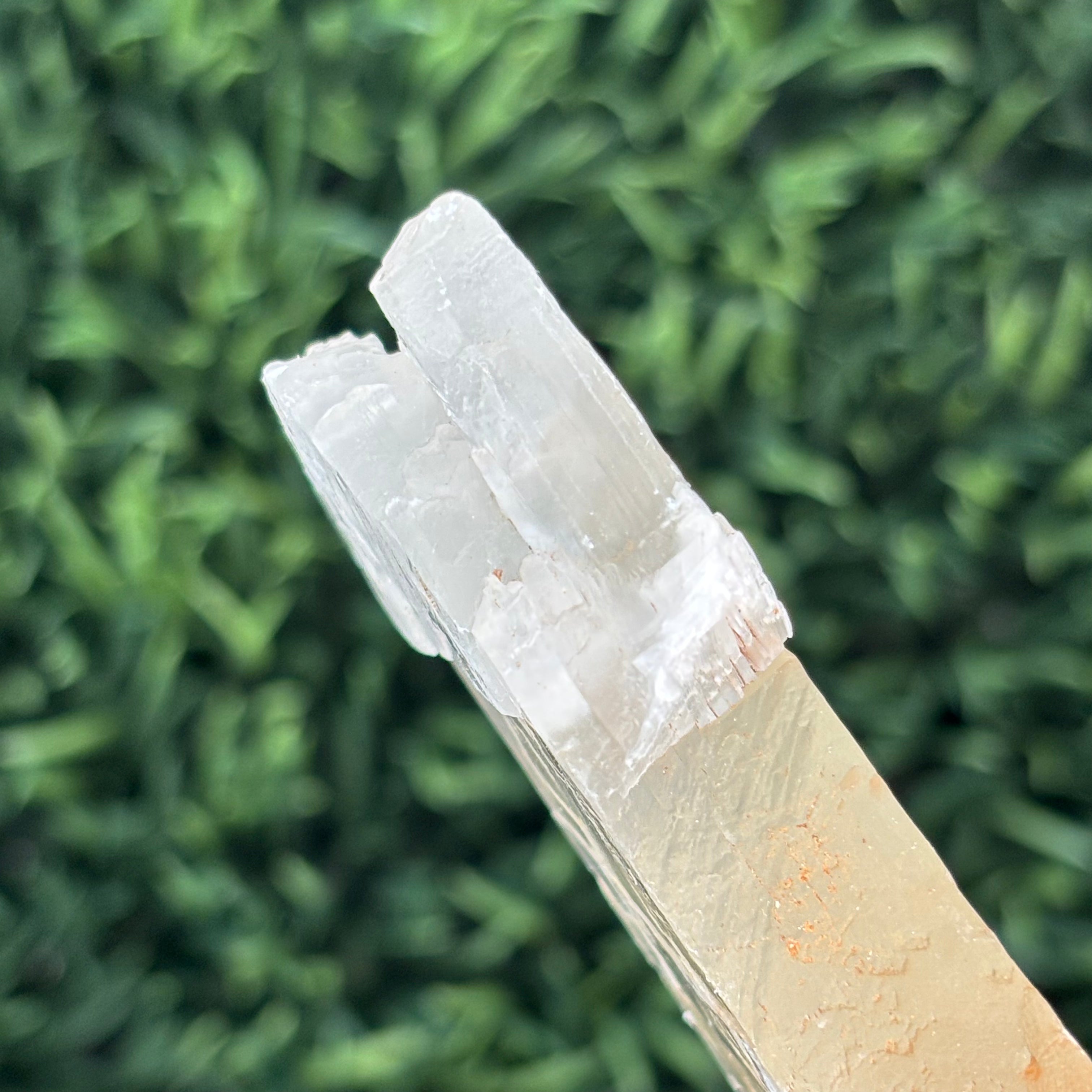 Golden Selenite Window - 598