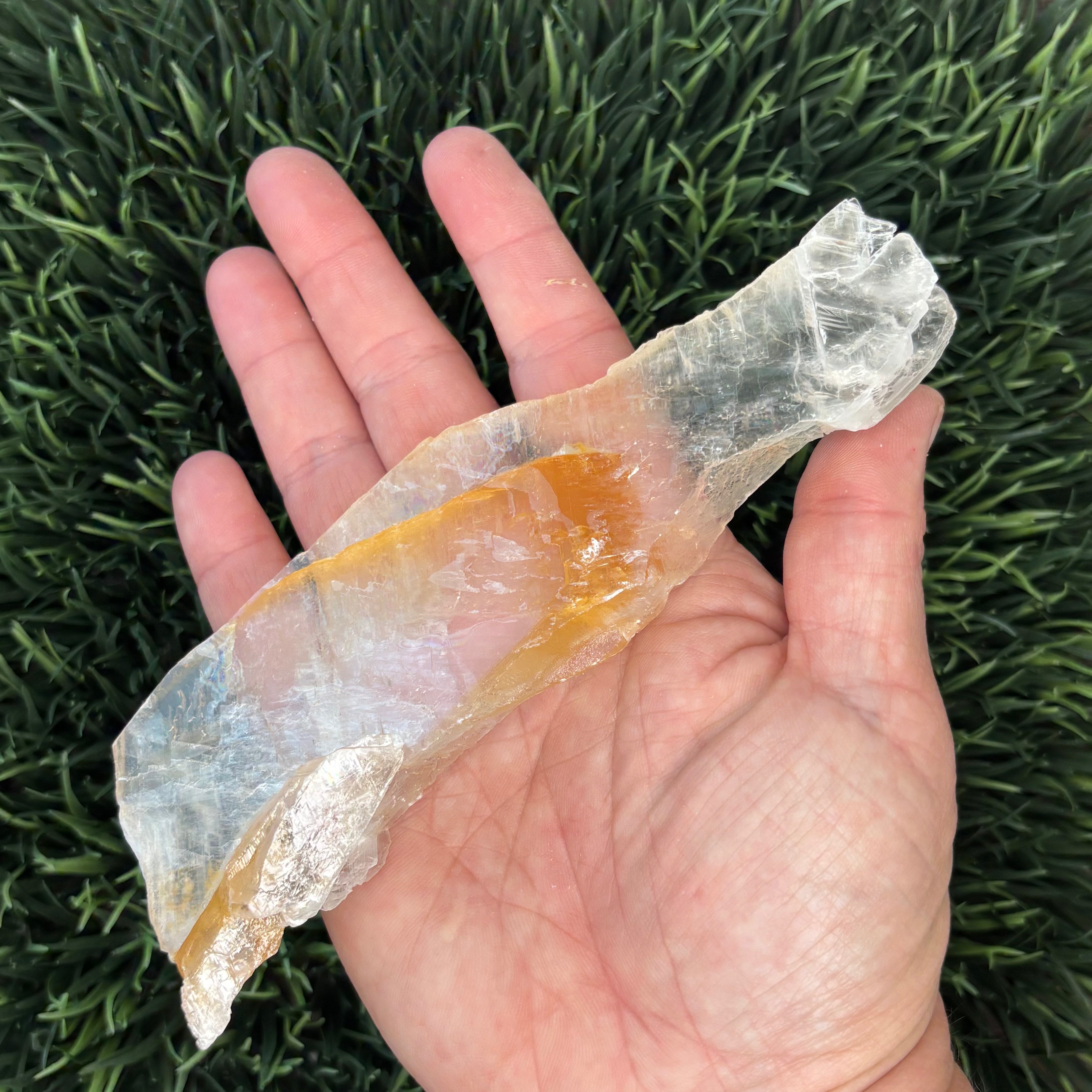 Golden Selenite Window - 598