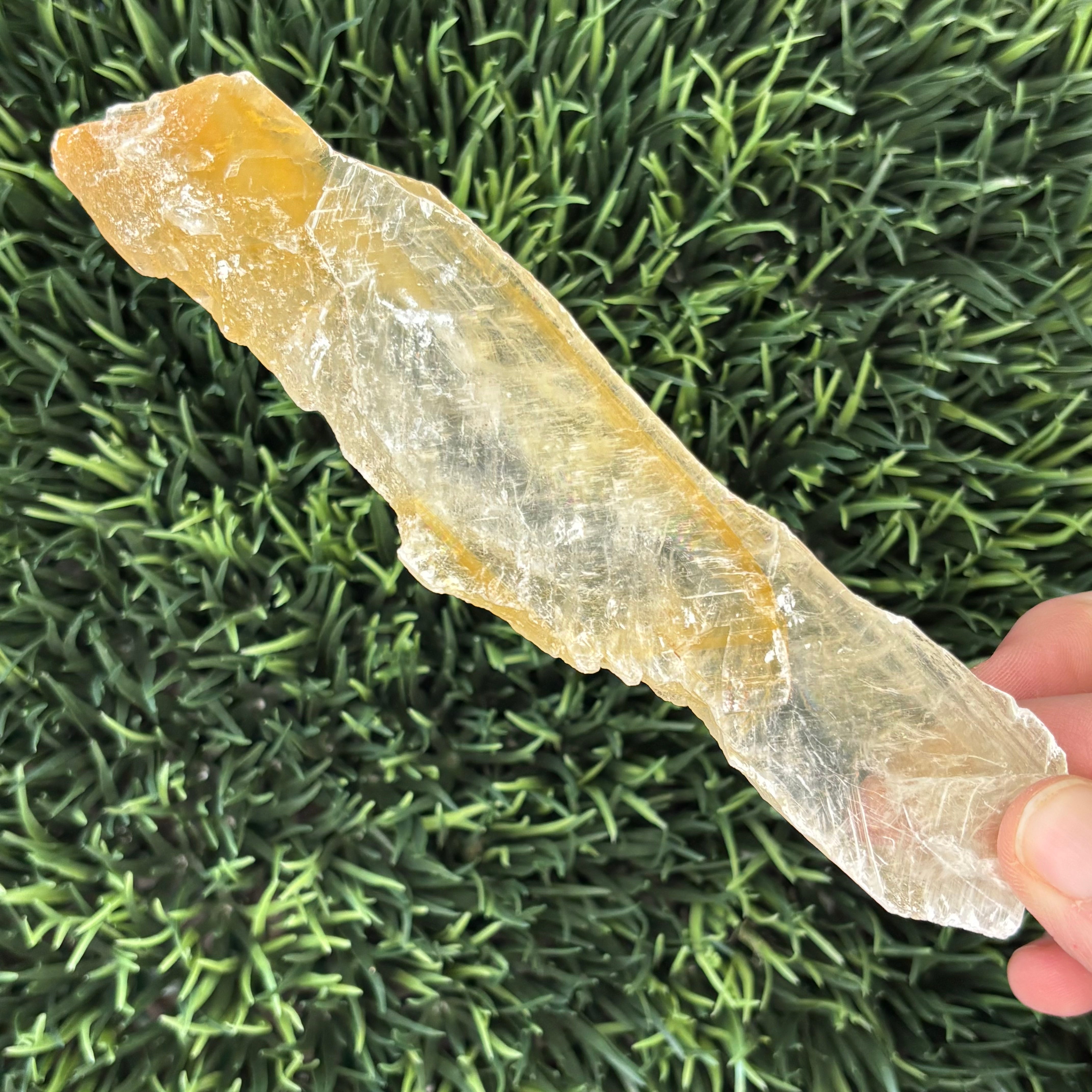 Golden Selenite Window - 608