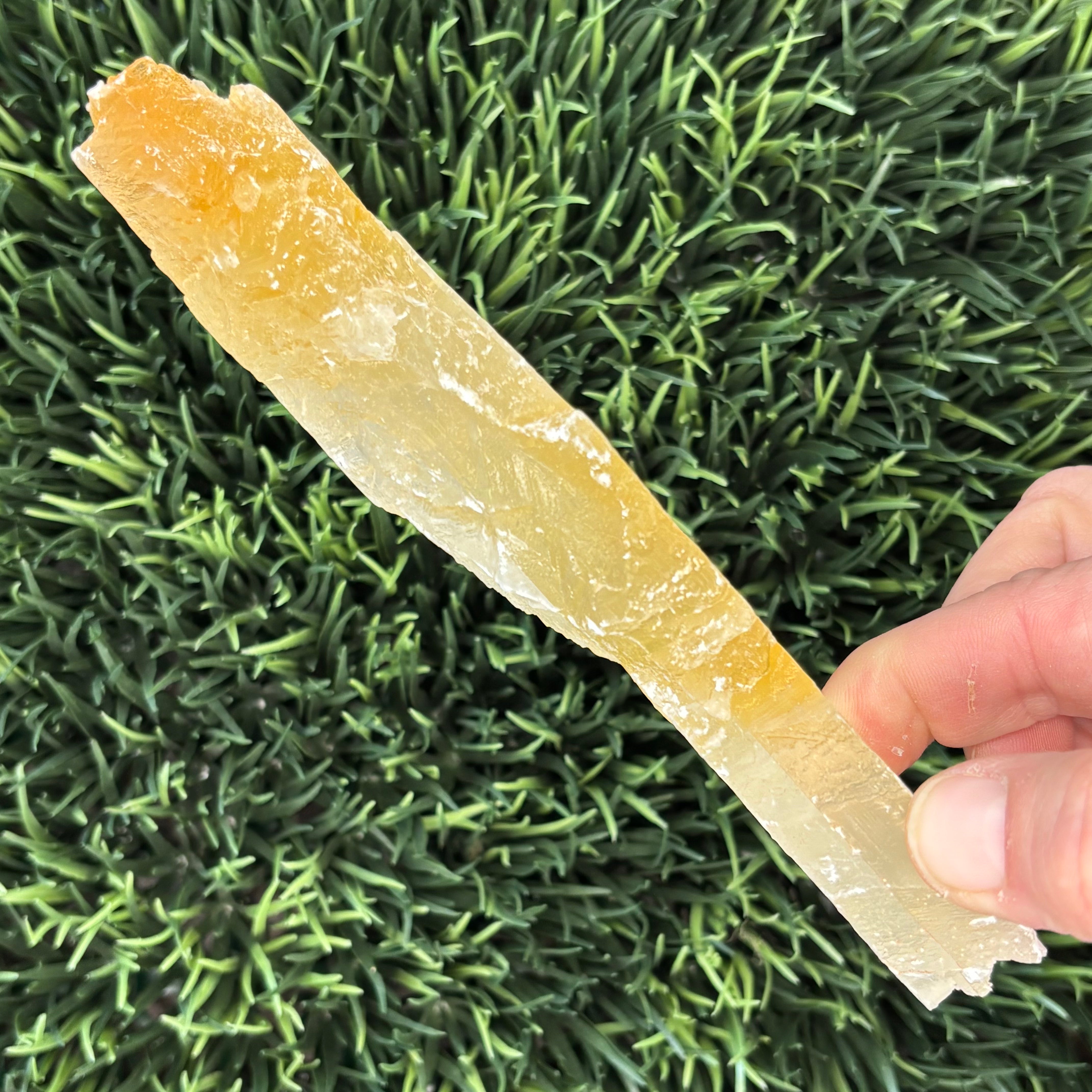 Golden Selenite Window - 608