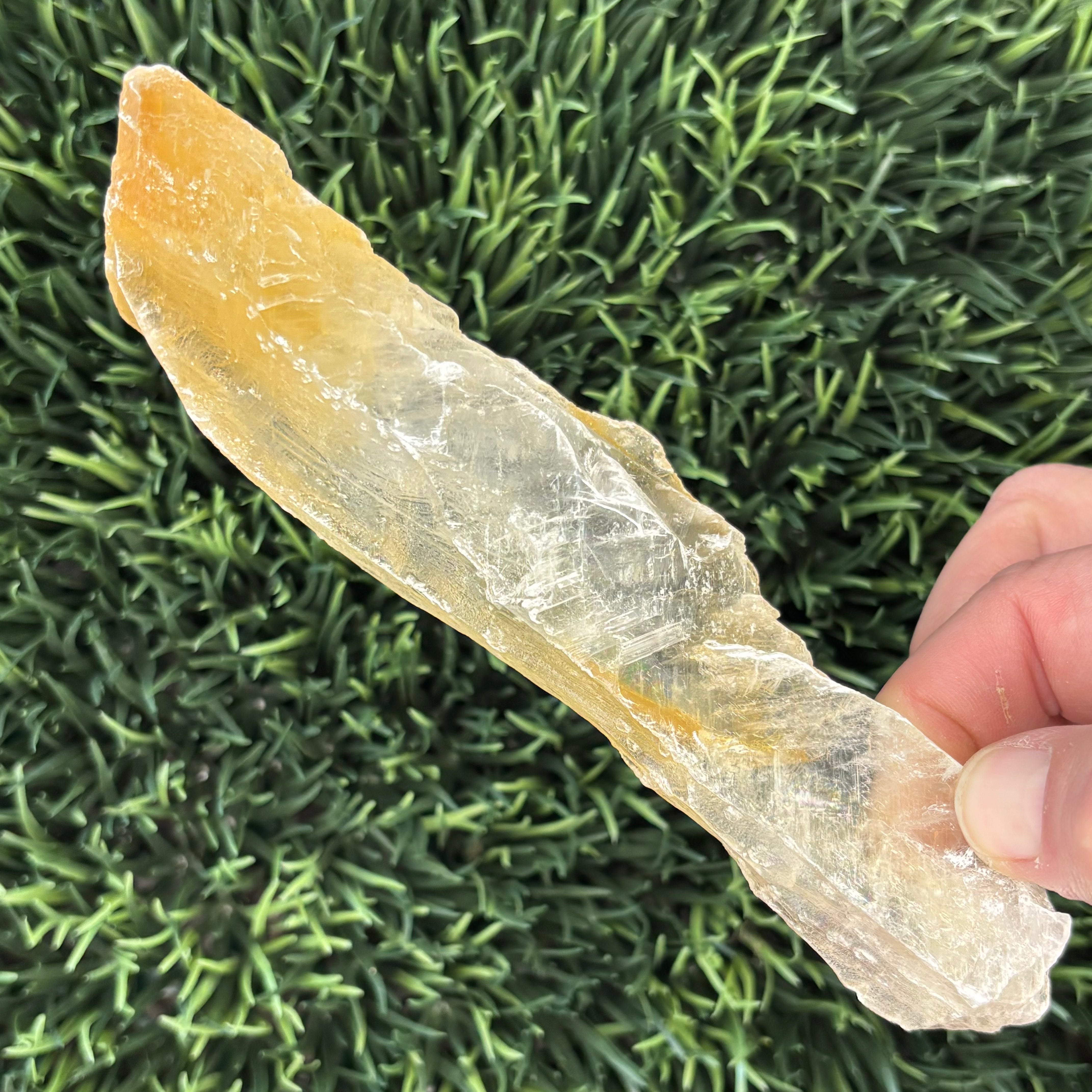 Golden Selenite Window - 608