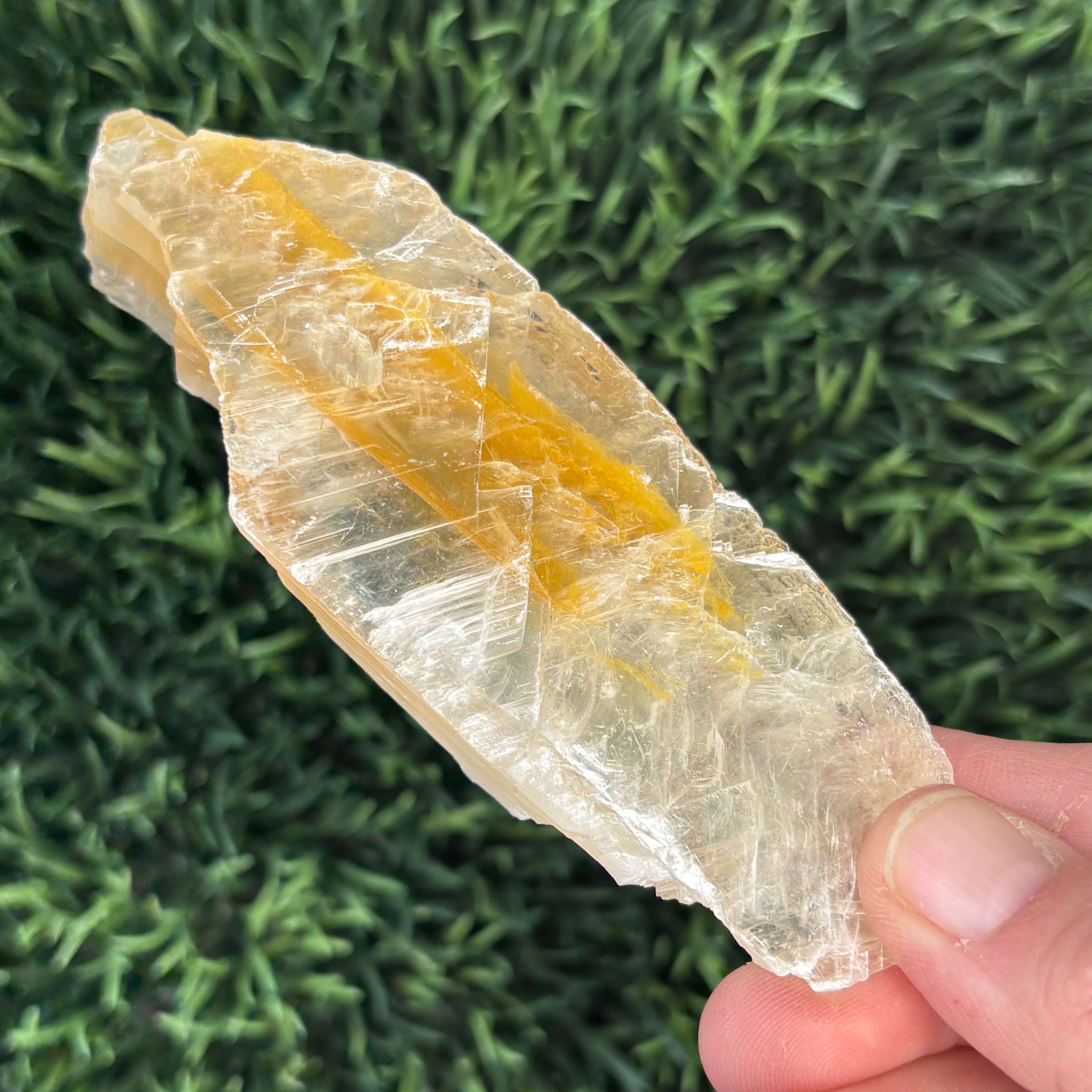 Golden Selenite Window - 610