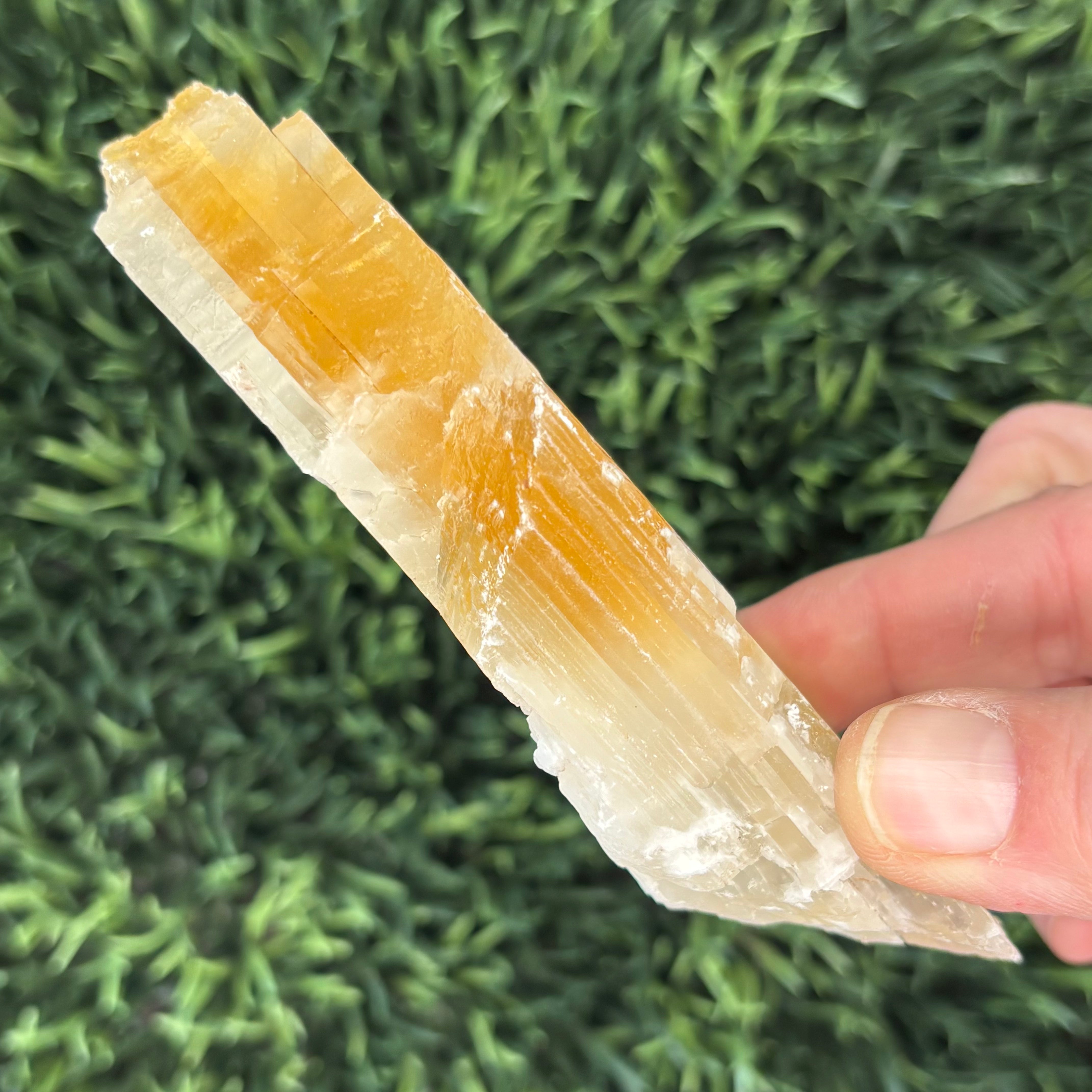 Golden Selenite Window - 610