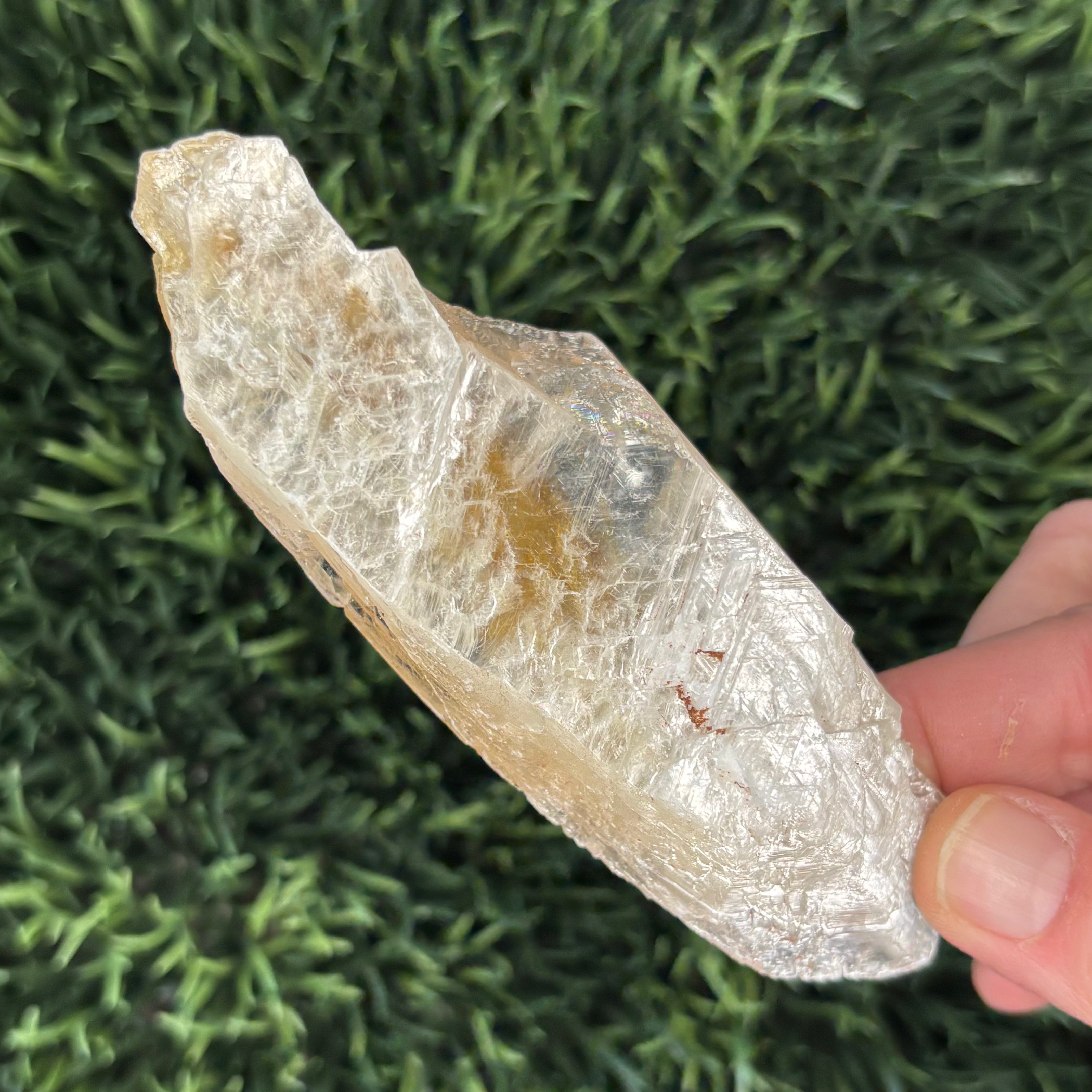 Golden Selenite Window - 610