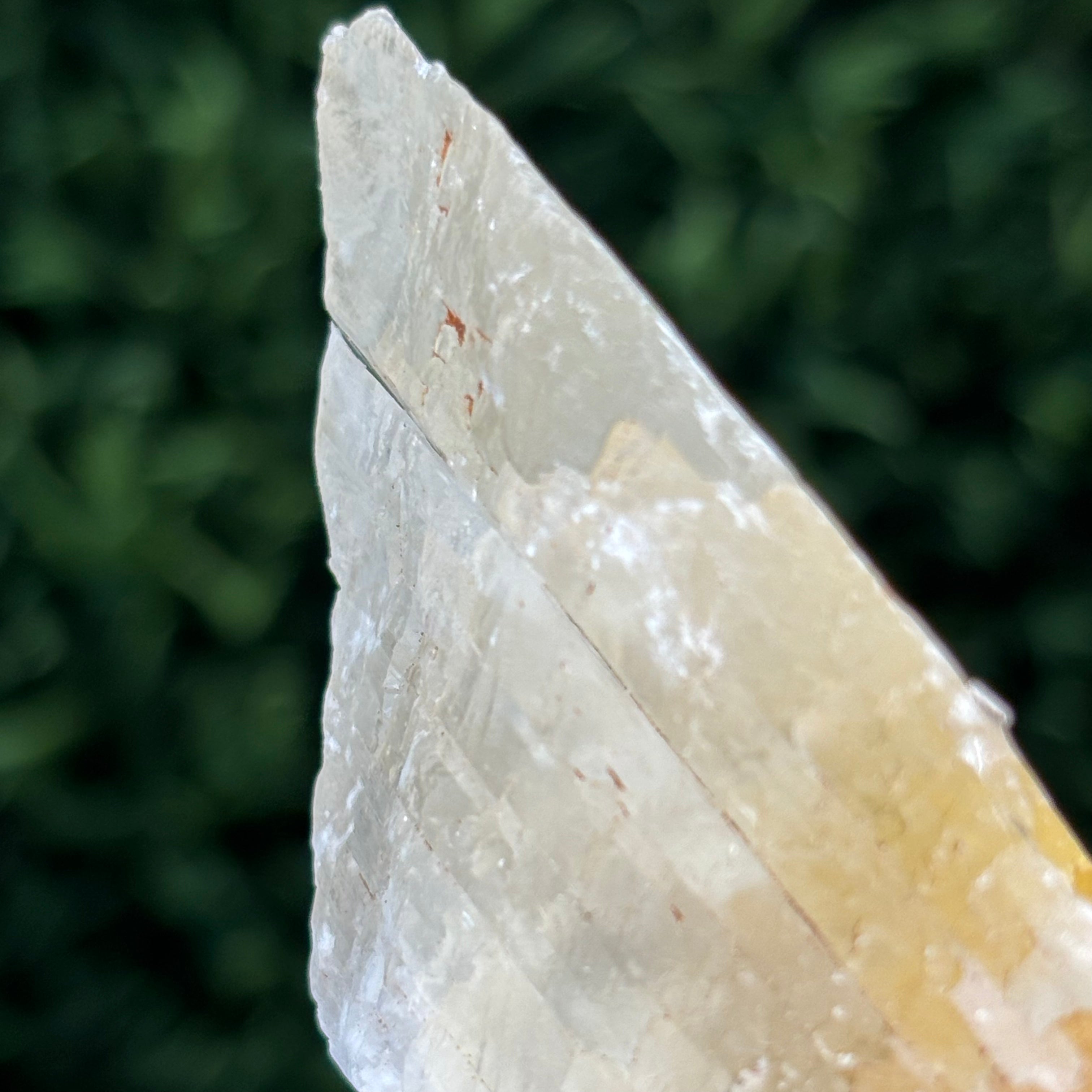 Golden Selenite Window - 610