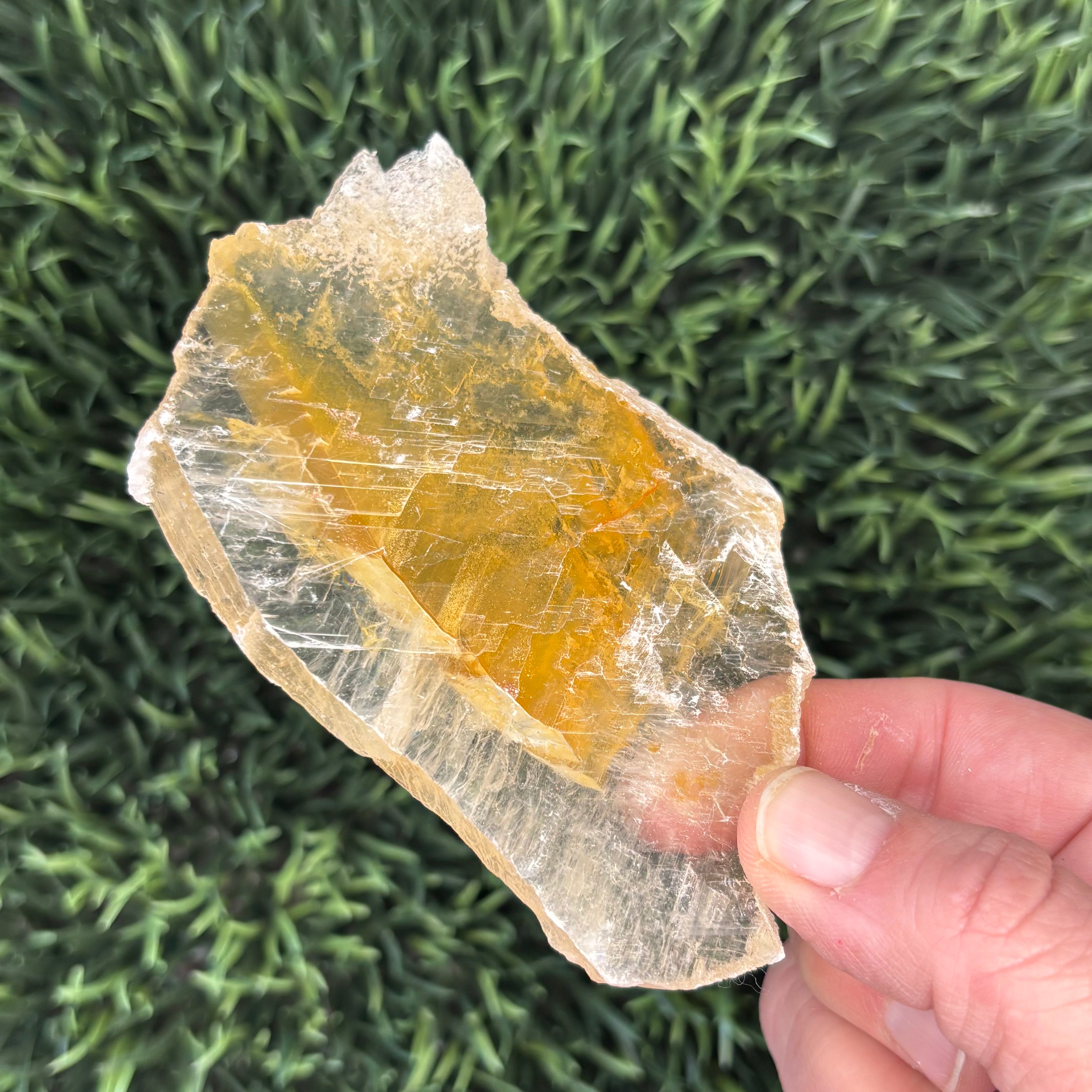Golden Selenite Window - 611