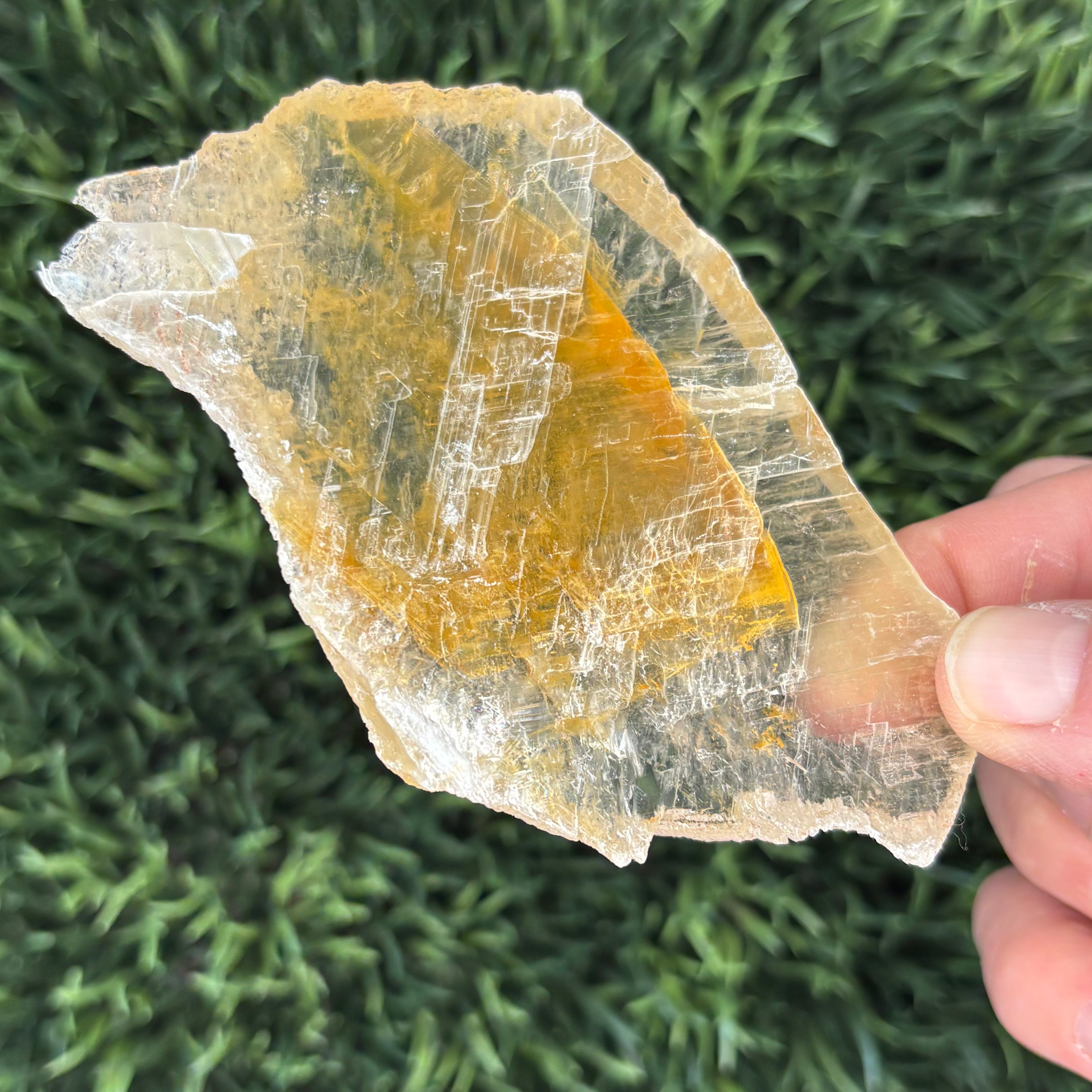 Golden Selenite Window - 611